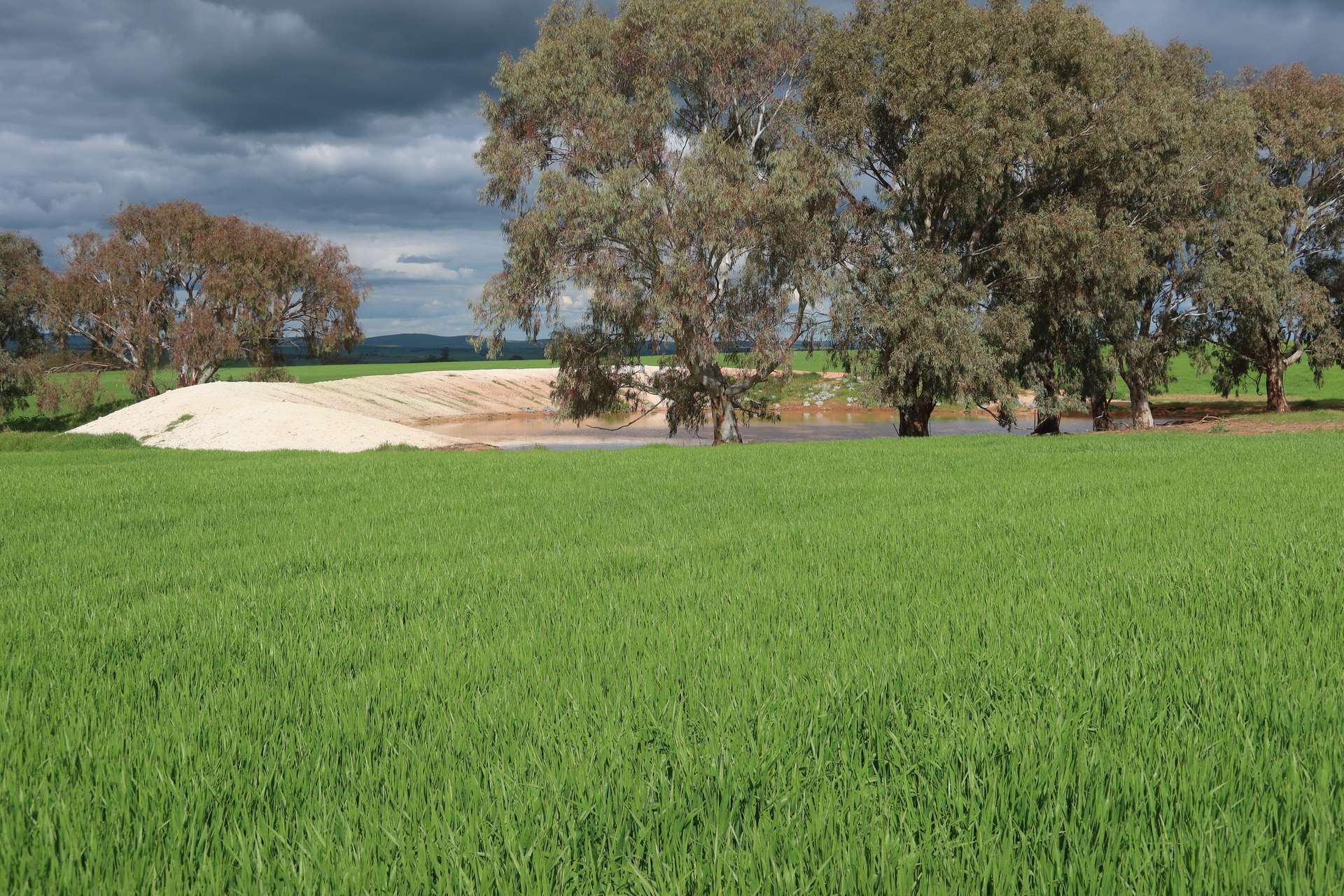 261 Borgas Road, Booleroo Centre For Sale by Farmbuy.com - image 3