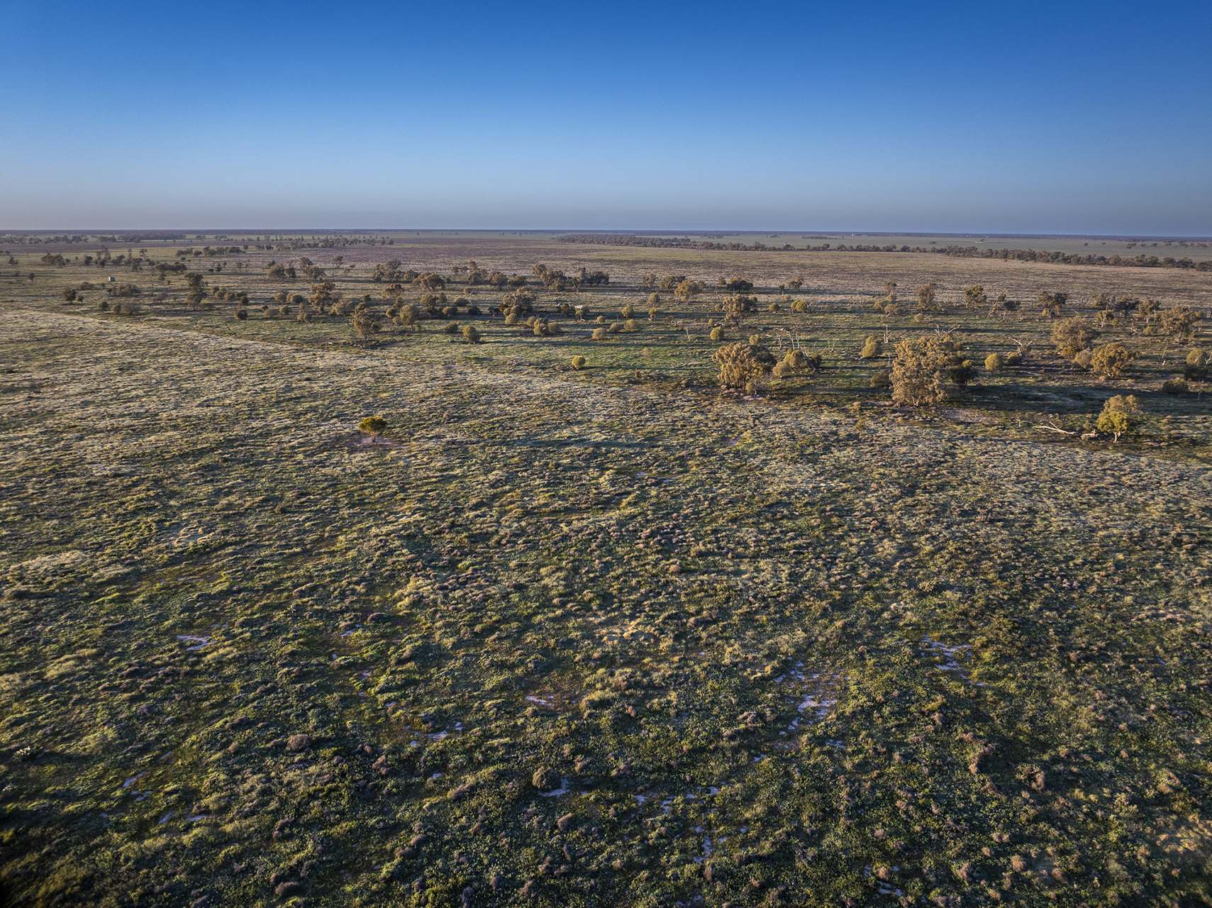 Sandy Camp Road, Quambone For Sale by Farmbuy.com - image 9