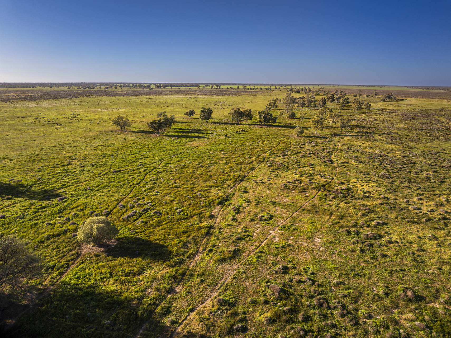 Sandy Camp Road, Quambone For Sale by Farmbuy.com - image 12