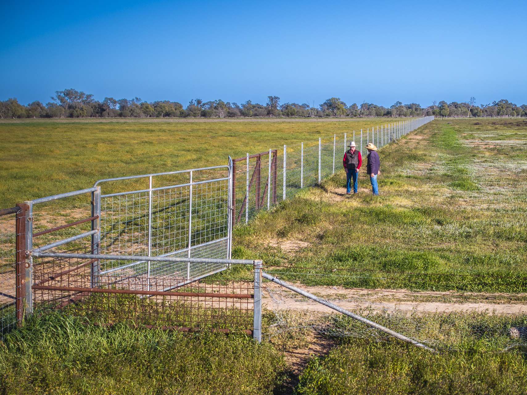 Sandy Camp Road, Quambone For Sale by Farmbuy.com - image 17