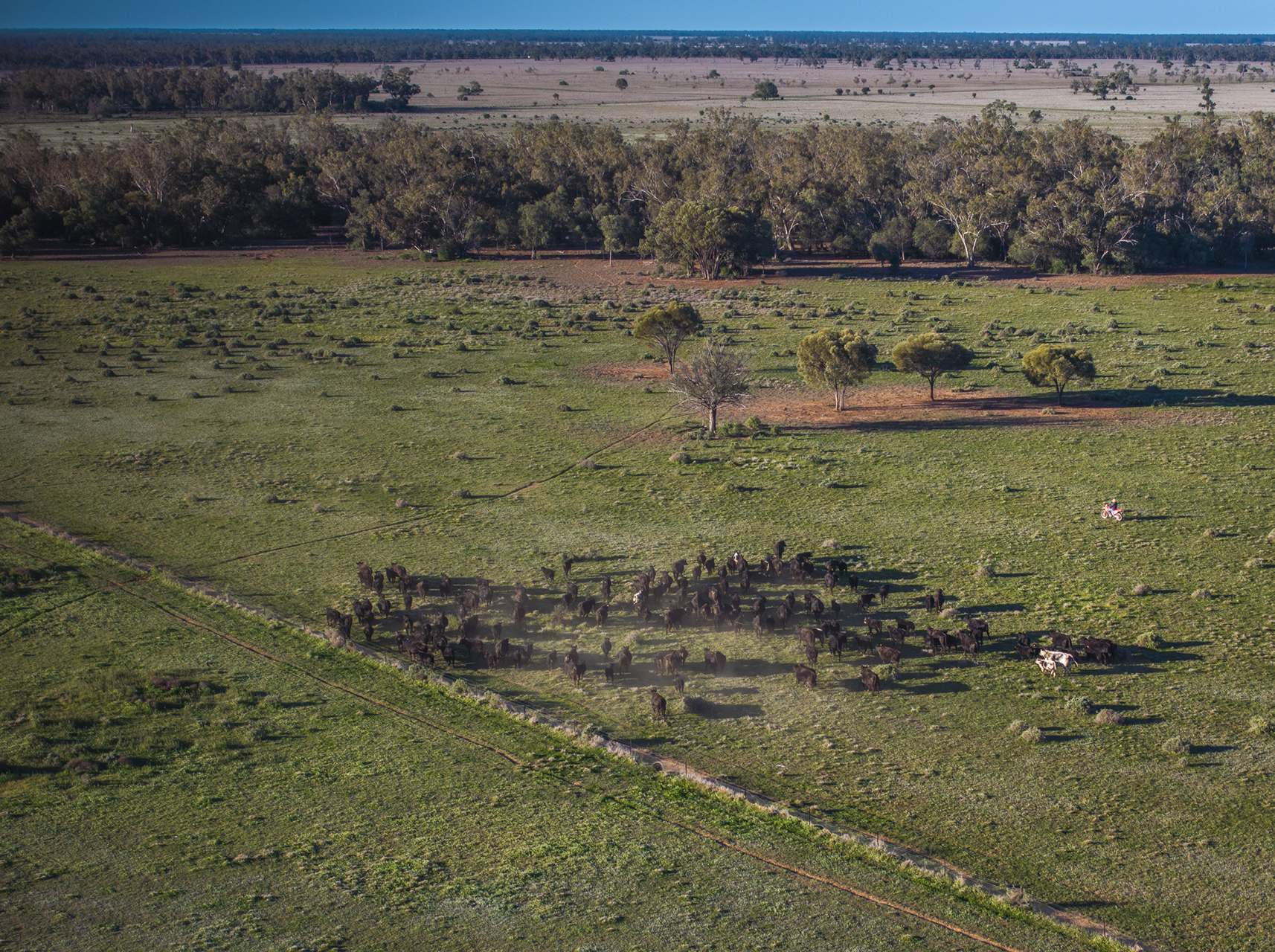 Sandy Camp Road, Quambone For Sale by Farmbuy.com - image 2