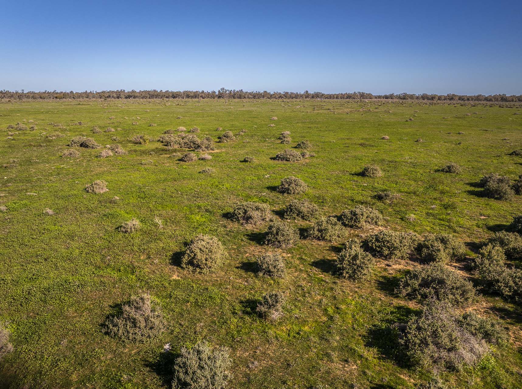 Sandy Camp Road, Quambone For Sale by Farmbuy.com - image 33