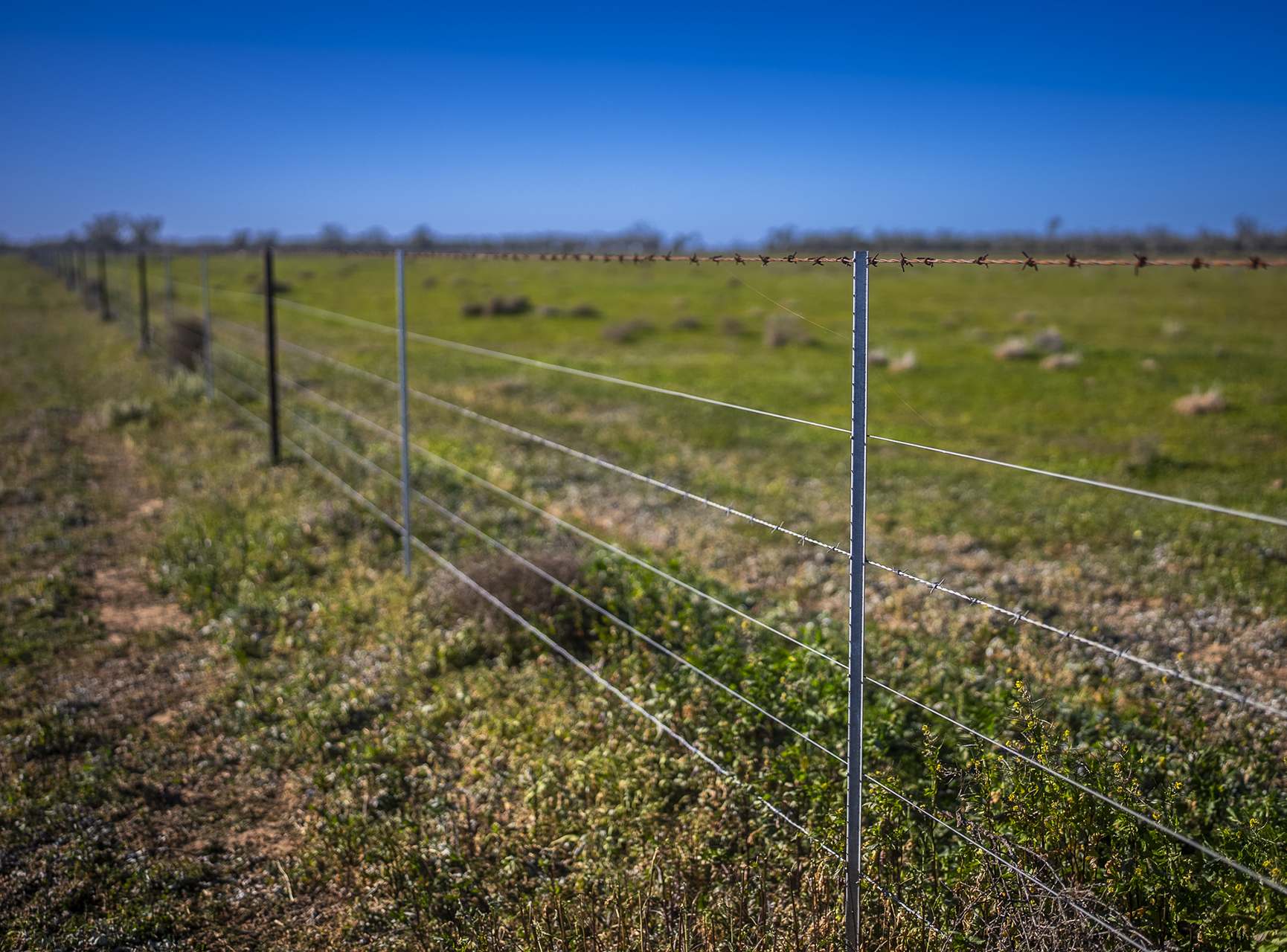 Sandy Camp Road, Quambone For Sale by Farmbuy.com - image 19