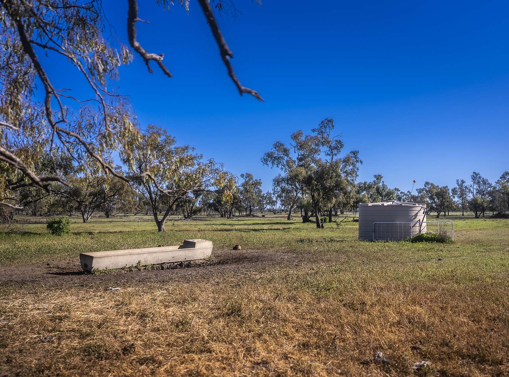 Sandy Camp Road, Quambone For Sale by Farmbuy.com - image 26
