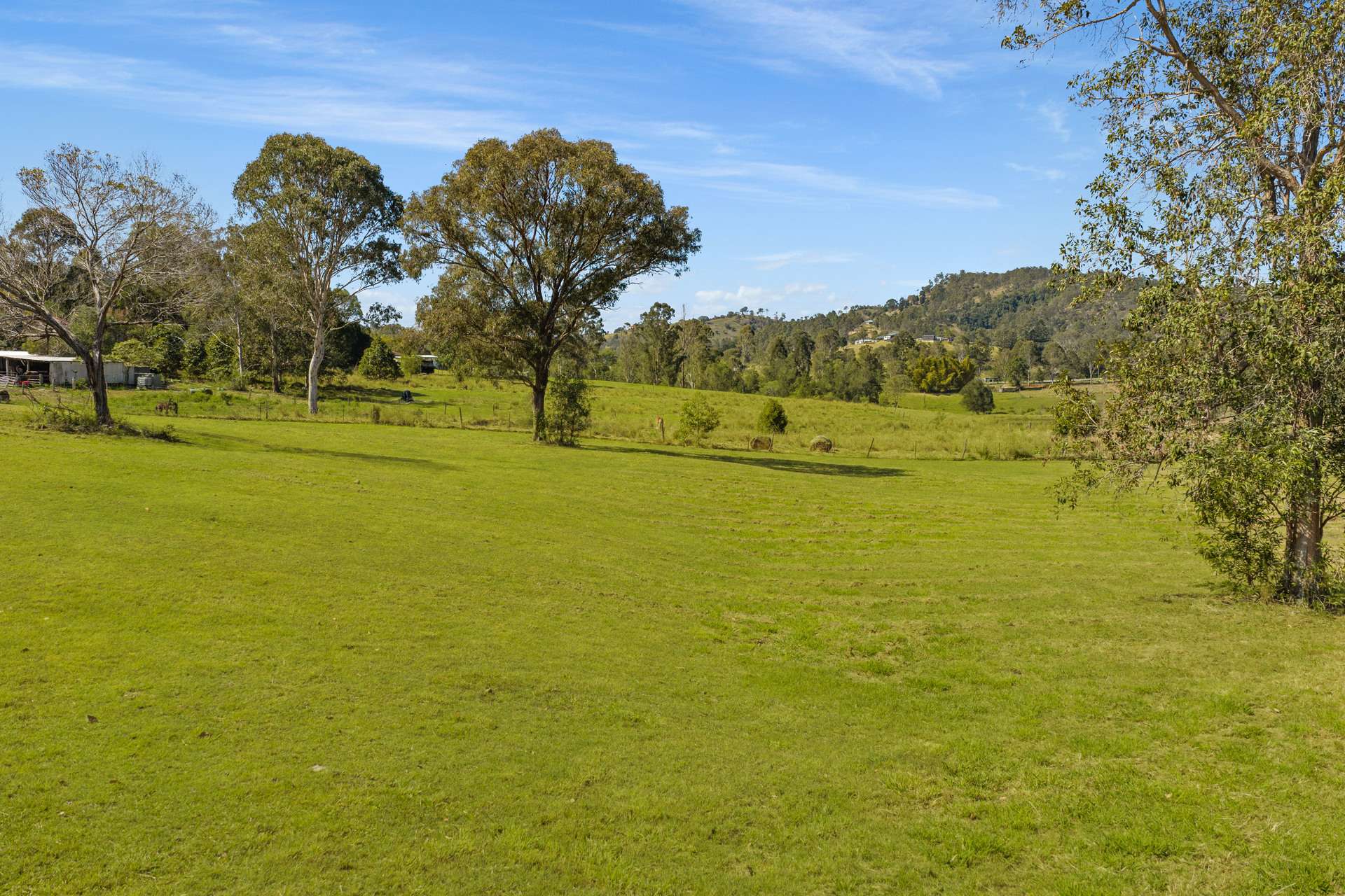 38 Curry Road, The Palms For Sale by Farmbuy.com - image 22