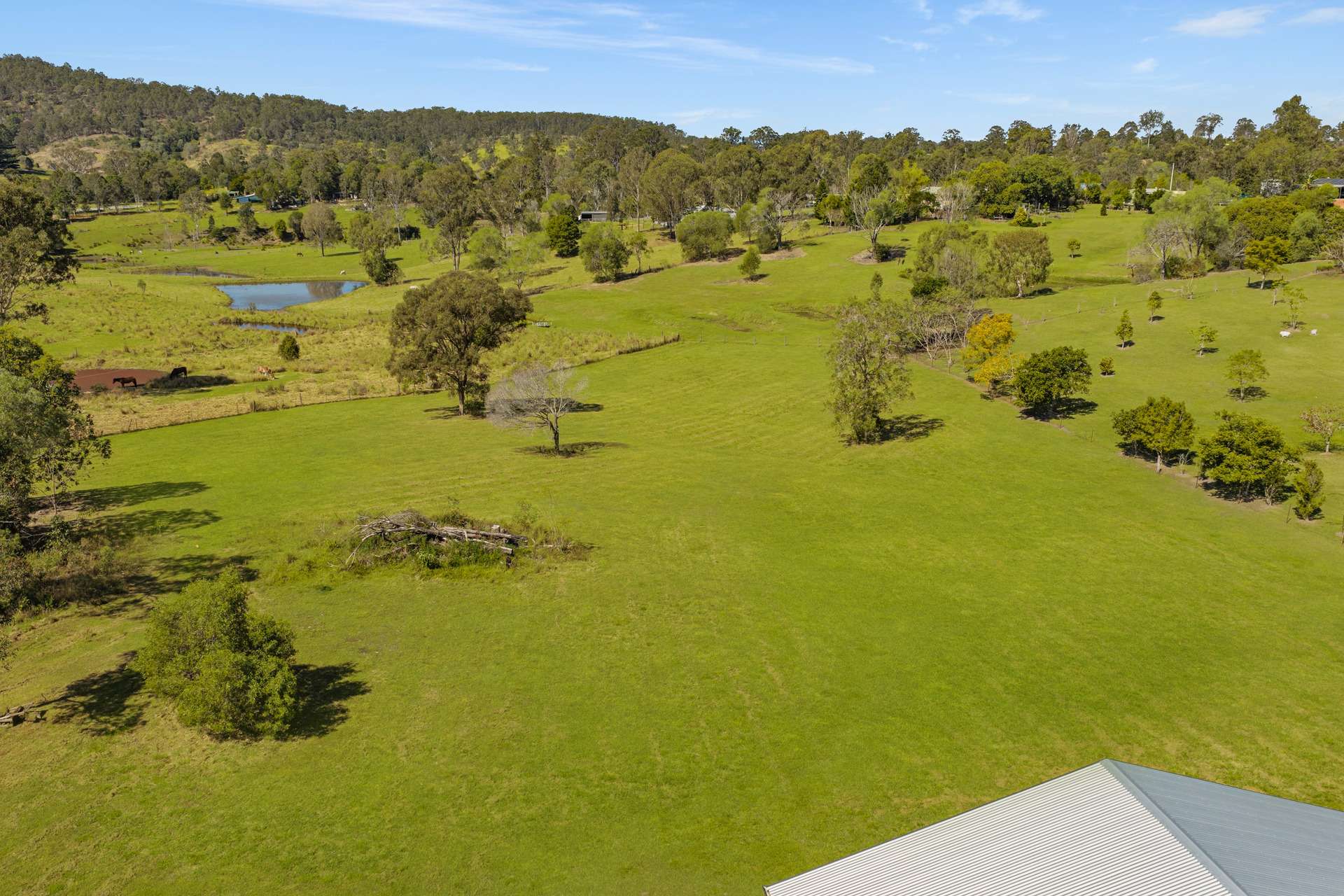 38 Curry Road, The Palms For Sale by Farmbuy.com - image 17