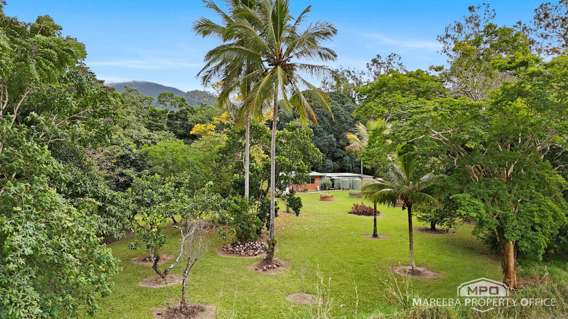 64 Sides Road, Julatten For Sale by Farmbuy.com - image 1
