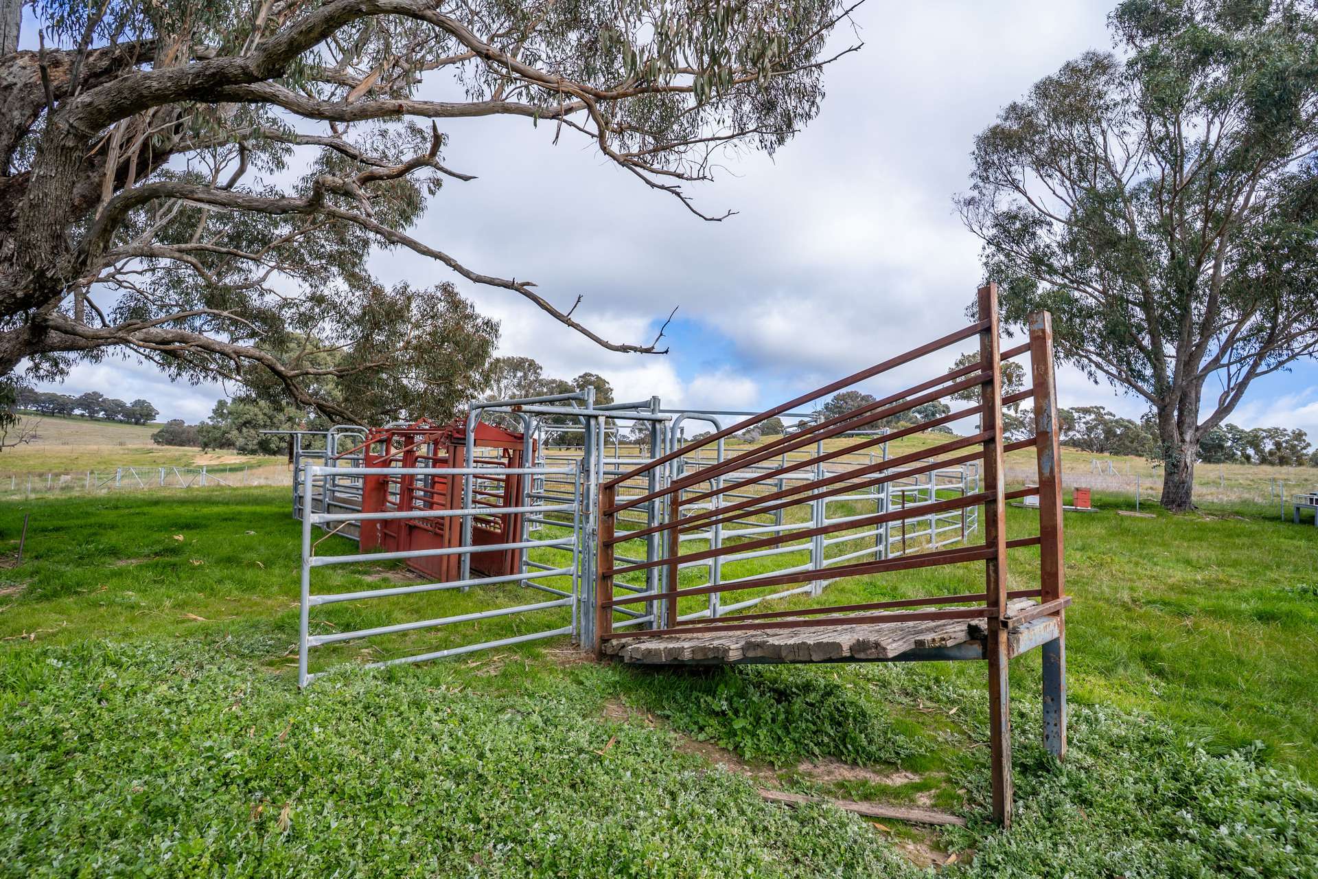 1 Burke Street, Lyndhurst For Sale by Farmbuy.com - image 19