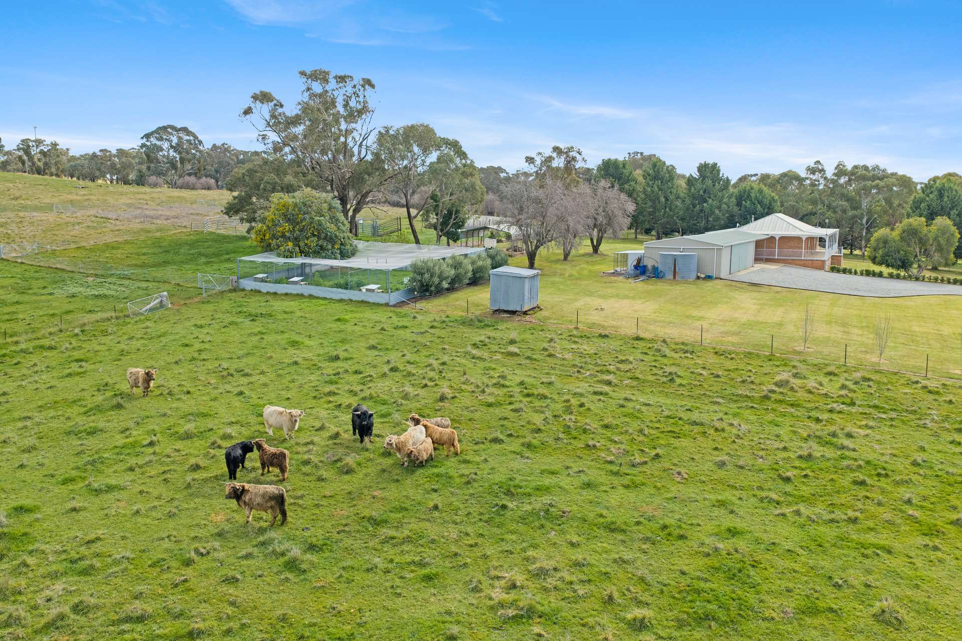 1 Burke Street, Lyndhurst For Sale by Farmbuy.com - image 21