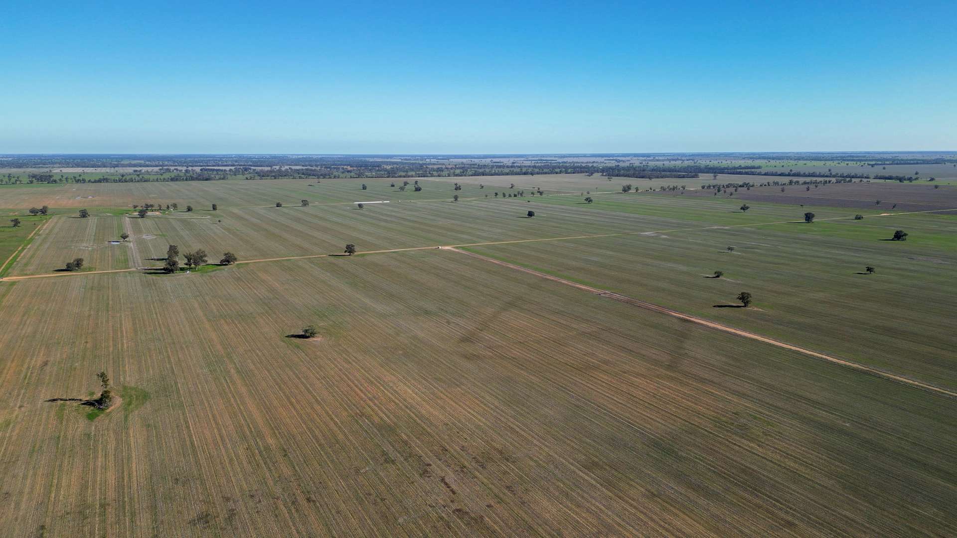 Berragoon, 647 Stokes Road, Collie For Sale by Farmbuy.com - image 4