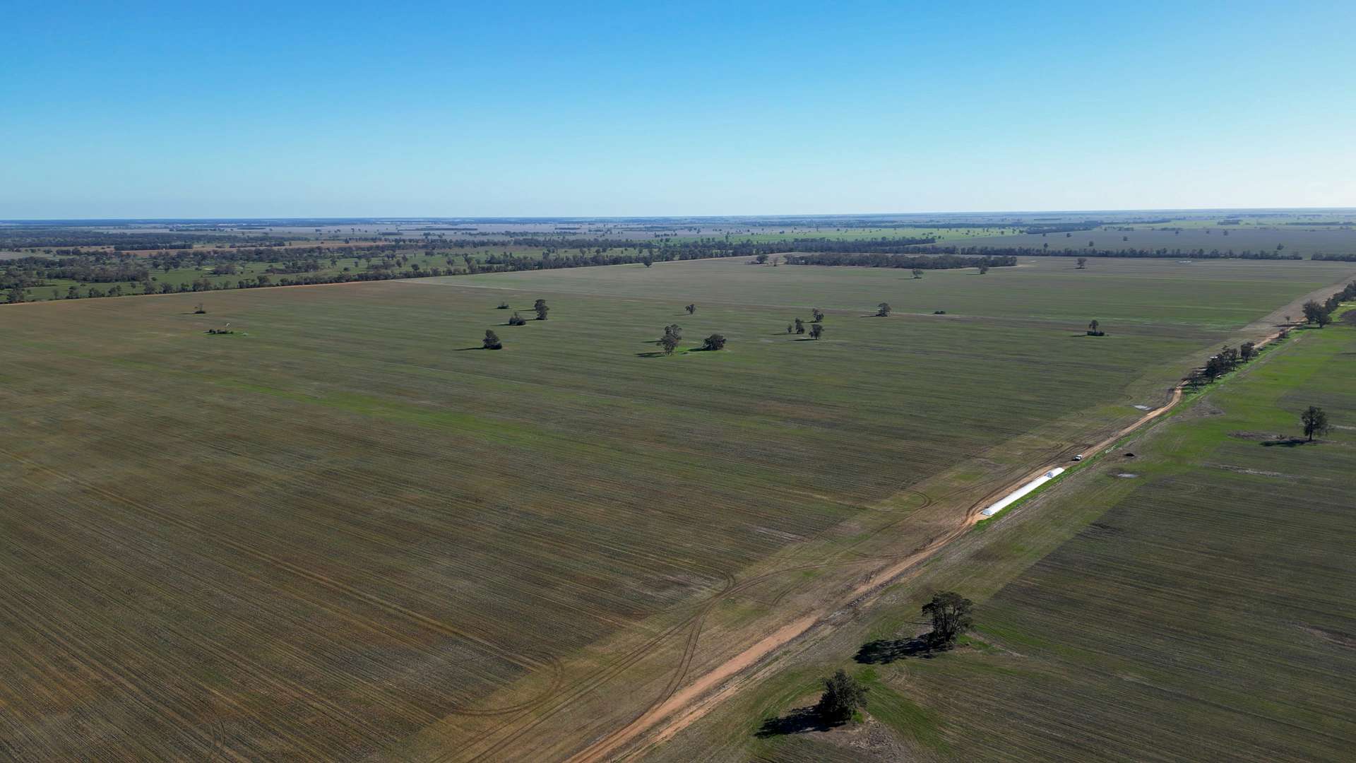 Berragoon, 647 Stokes Road, Collie For Sale by Farmbuy.com - image 5
