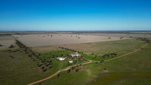 Berragoon&comma; 647 Stokes Road, Collie NSW 2827