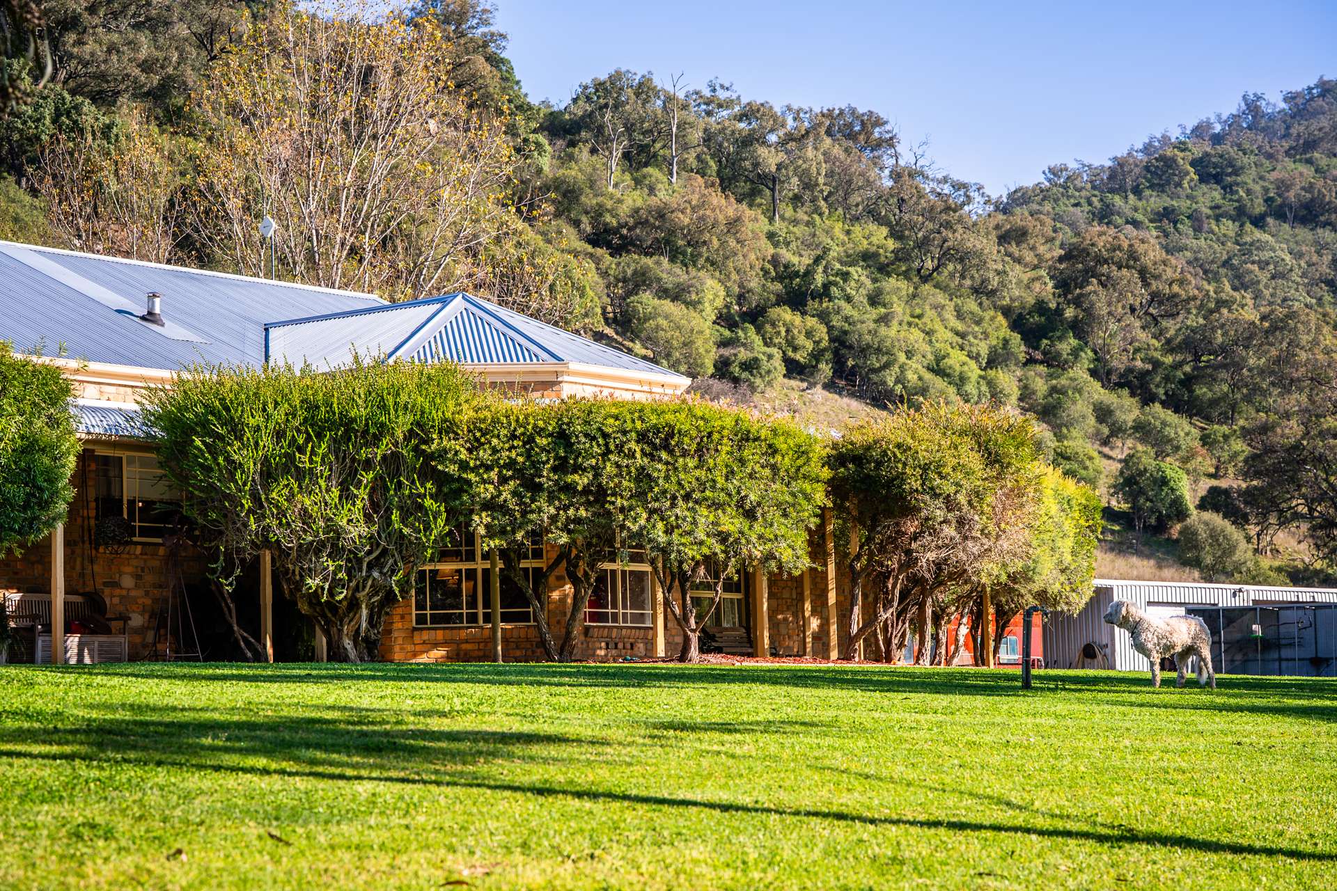 30 Wells Gully Road, McCullys Gap For Sale by Farmbuy.com - image 4