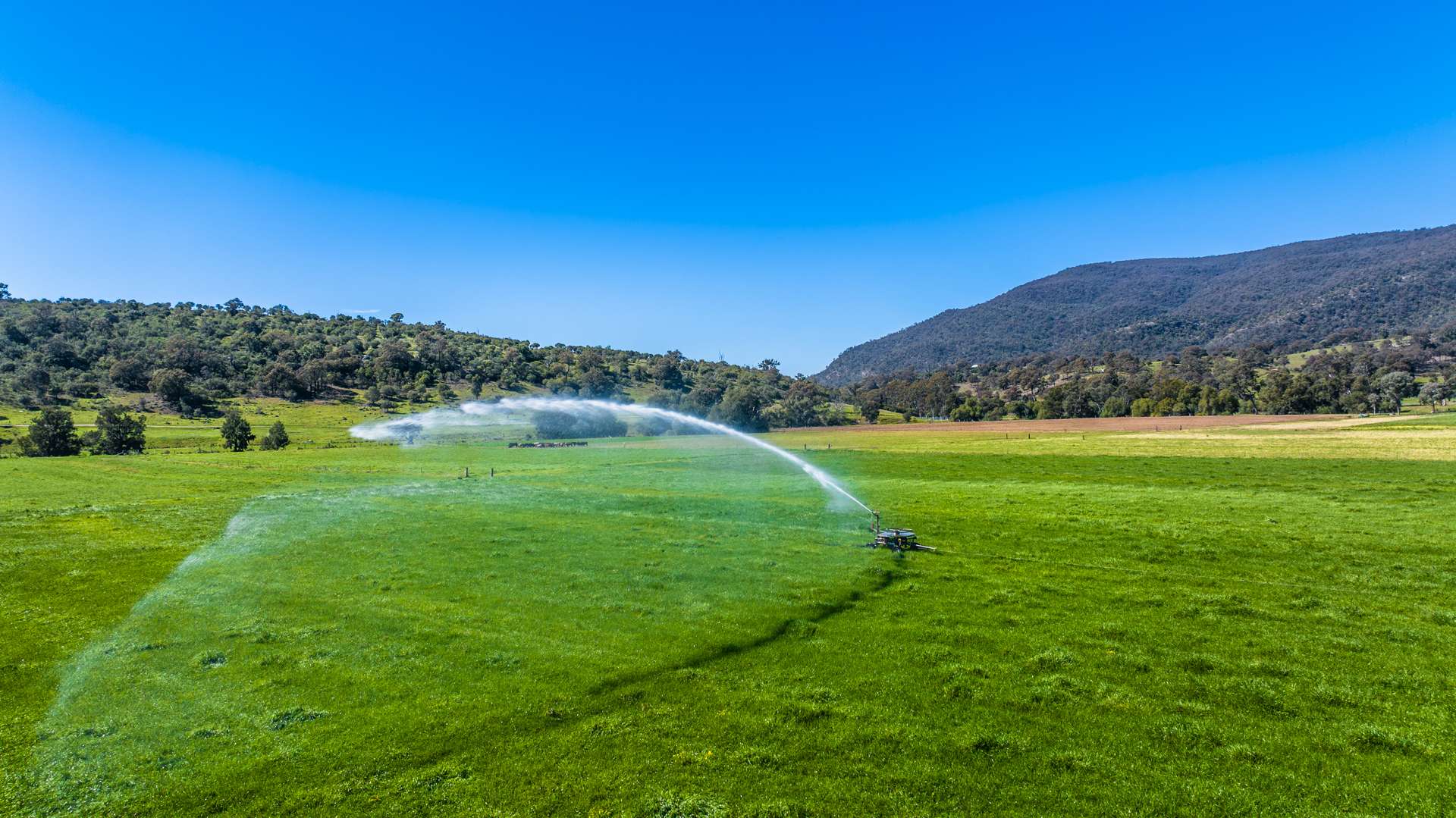 30 Wells Gully Road, McCullys Gap For Sale by Farmbuy.com - image 8