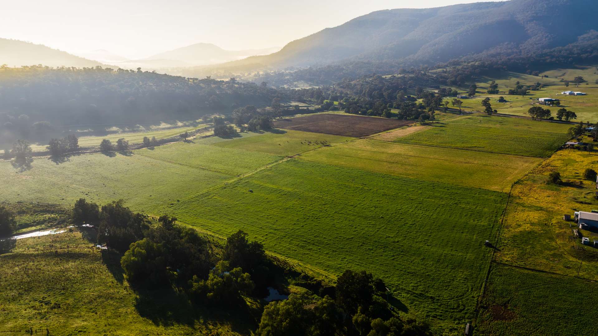 30 Wells Gully Road, McCullys Gap For Sale by Farmbuy.com - image 13