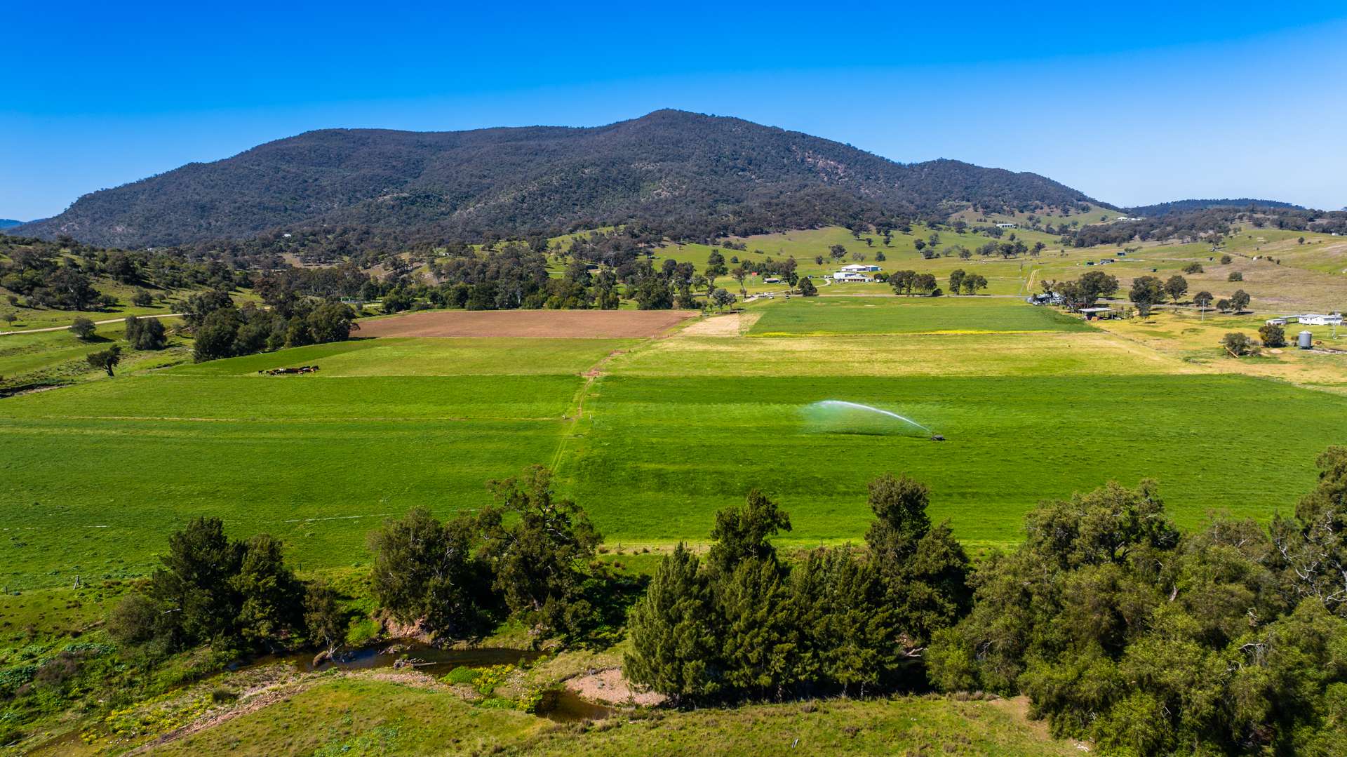 30 Wells Gully Road, McCullys Gap For Sale by Farmbuy.com - image 6