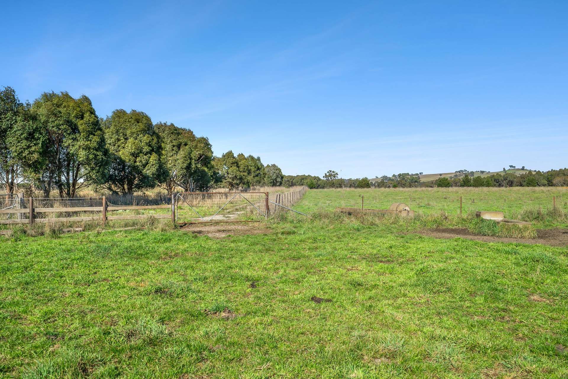 8 Gullen Flats Road, Bannister Via, Goulburn For Sale by Farmbuy.com - image 4