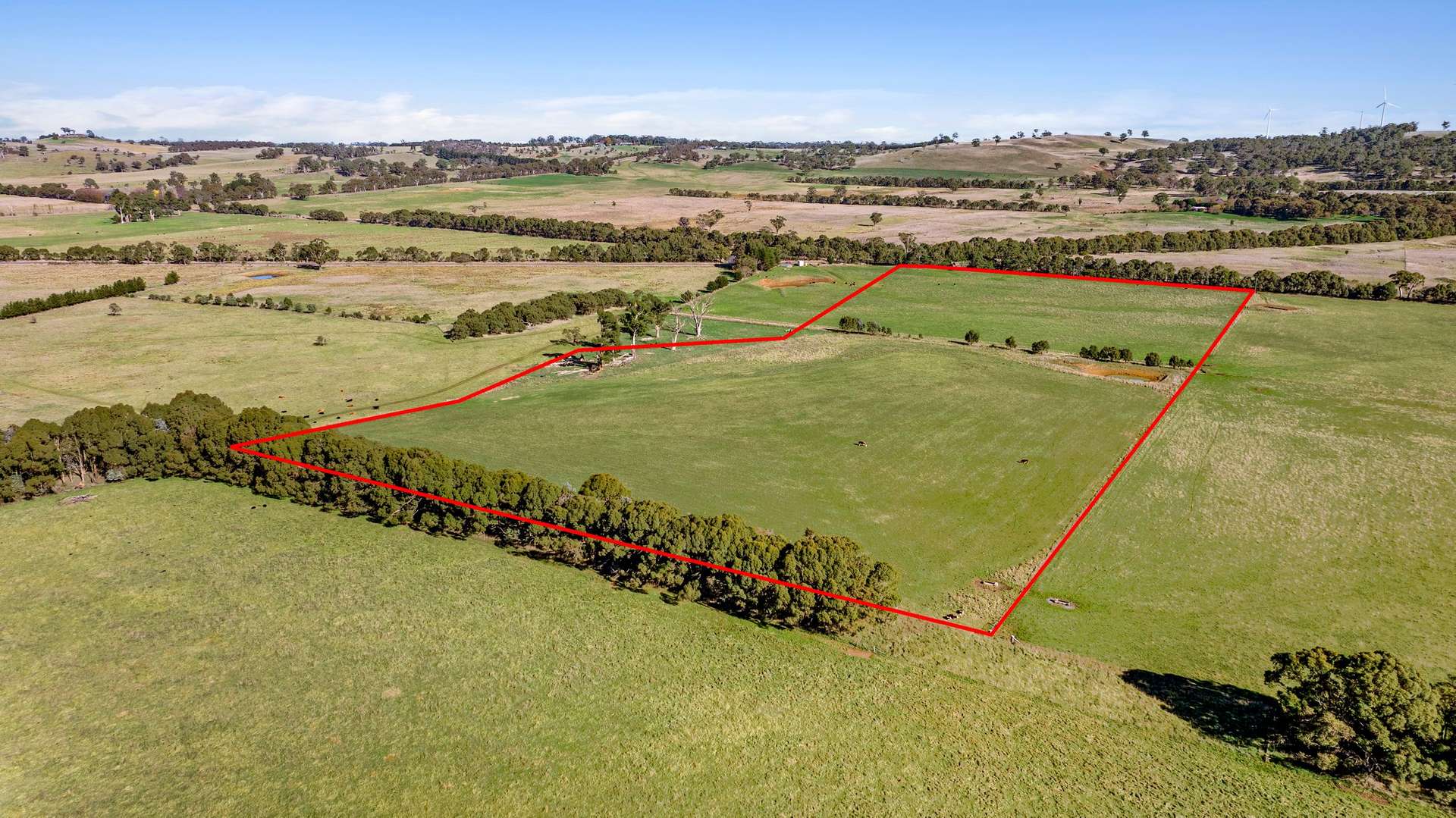 8 Gullen Flats Road, Bannister Via, Goulburn For Sale by Farmbuy.com - image 3