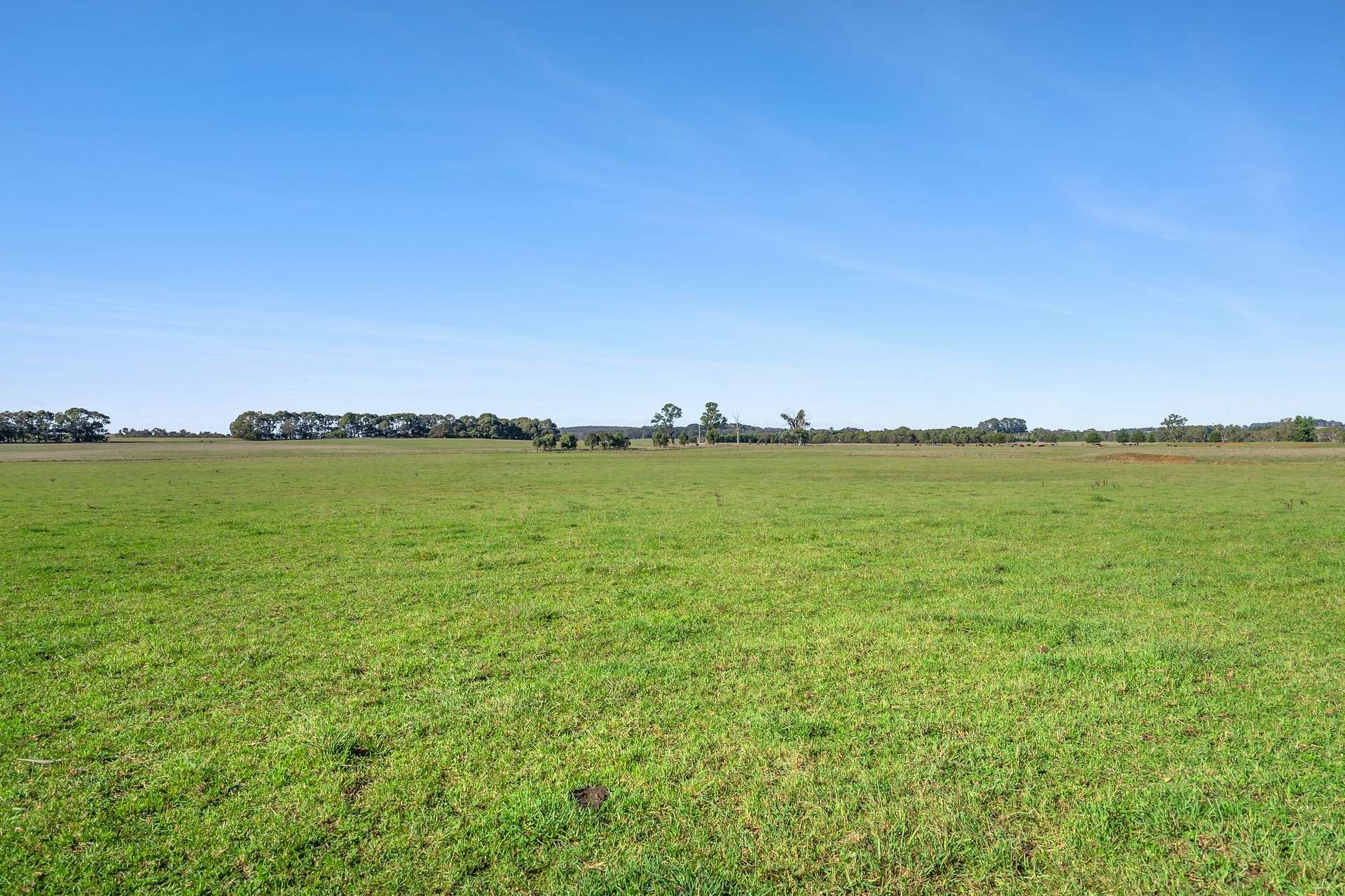 8 Gullen Flats Road, Bannister Via, Goulburn For Sale by Farmbuy.com - image 6