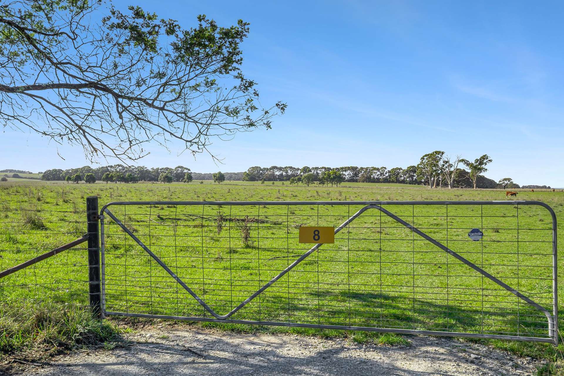 8 Gullen Flats Road, Bannister Via, Goulburn For Sale by Farmbuy.com - image 2