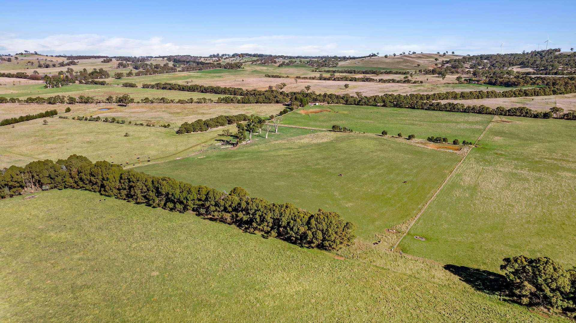 8 Gullen Flats Road, Bannister Via, Goulburn For Sale by Farmbuy.com - image 9