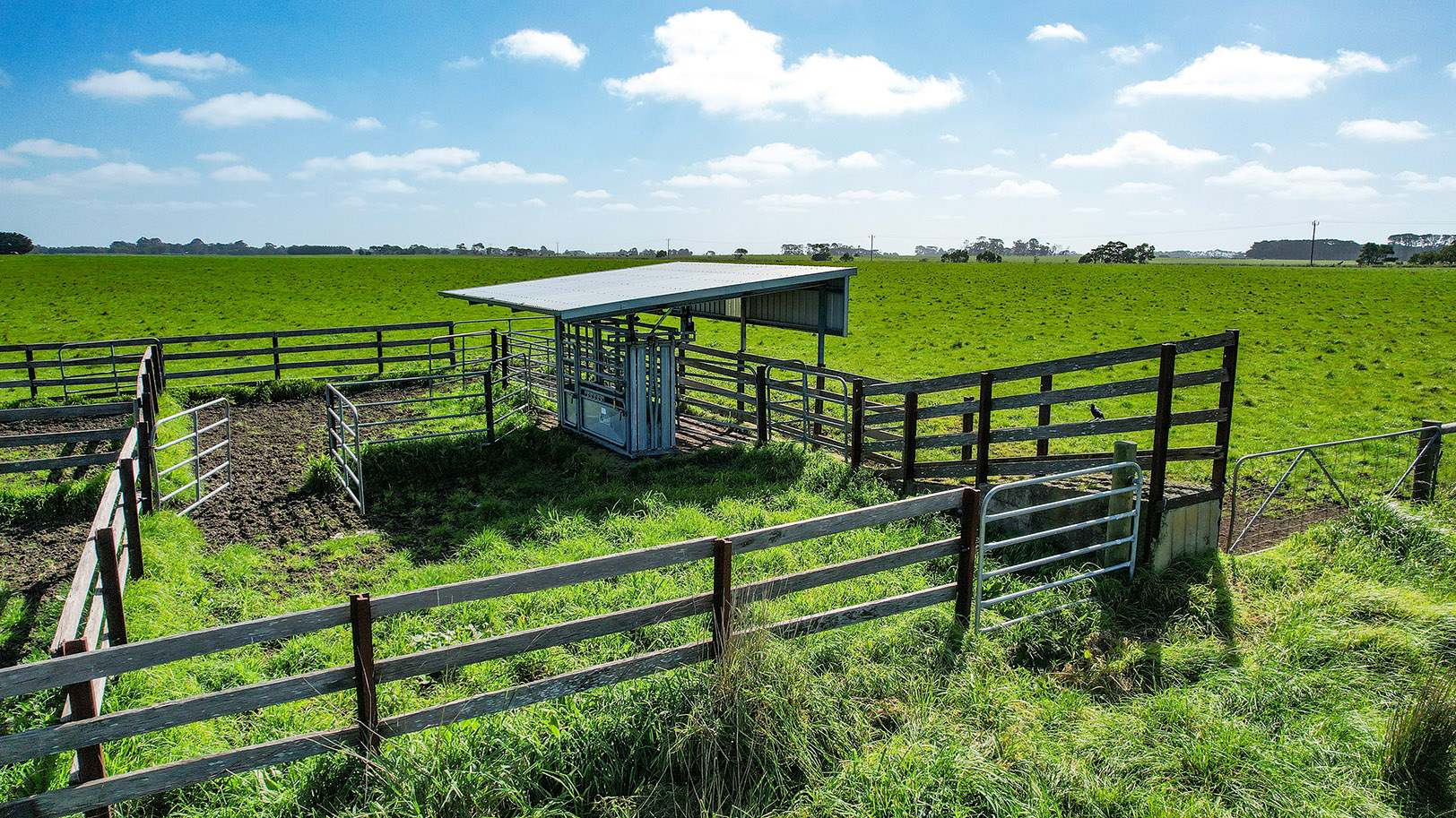 Lot 2,  Warrong Siding Road & Custs Road, Warrong For Sale by Farmbuy.com - image 3