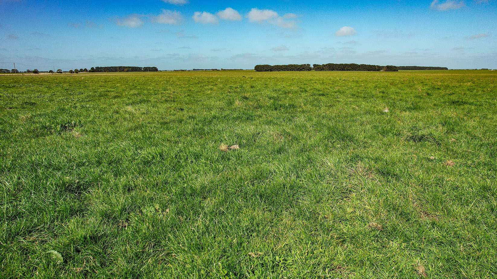 Lot 2,  Warrong Siding Road & Custs Road, Warrong For Sale by Farmbuy.com - image 32