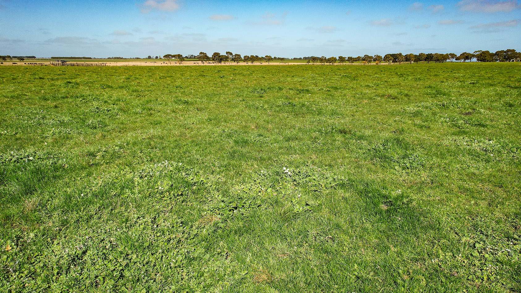 Lot 2,  Warrong Siding Road & Custs Road, Warrong For Sale by Farmbuy.com - image 29