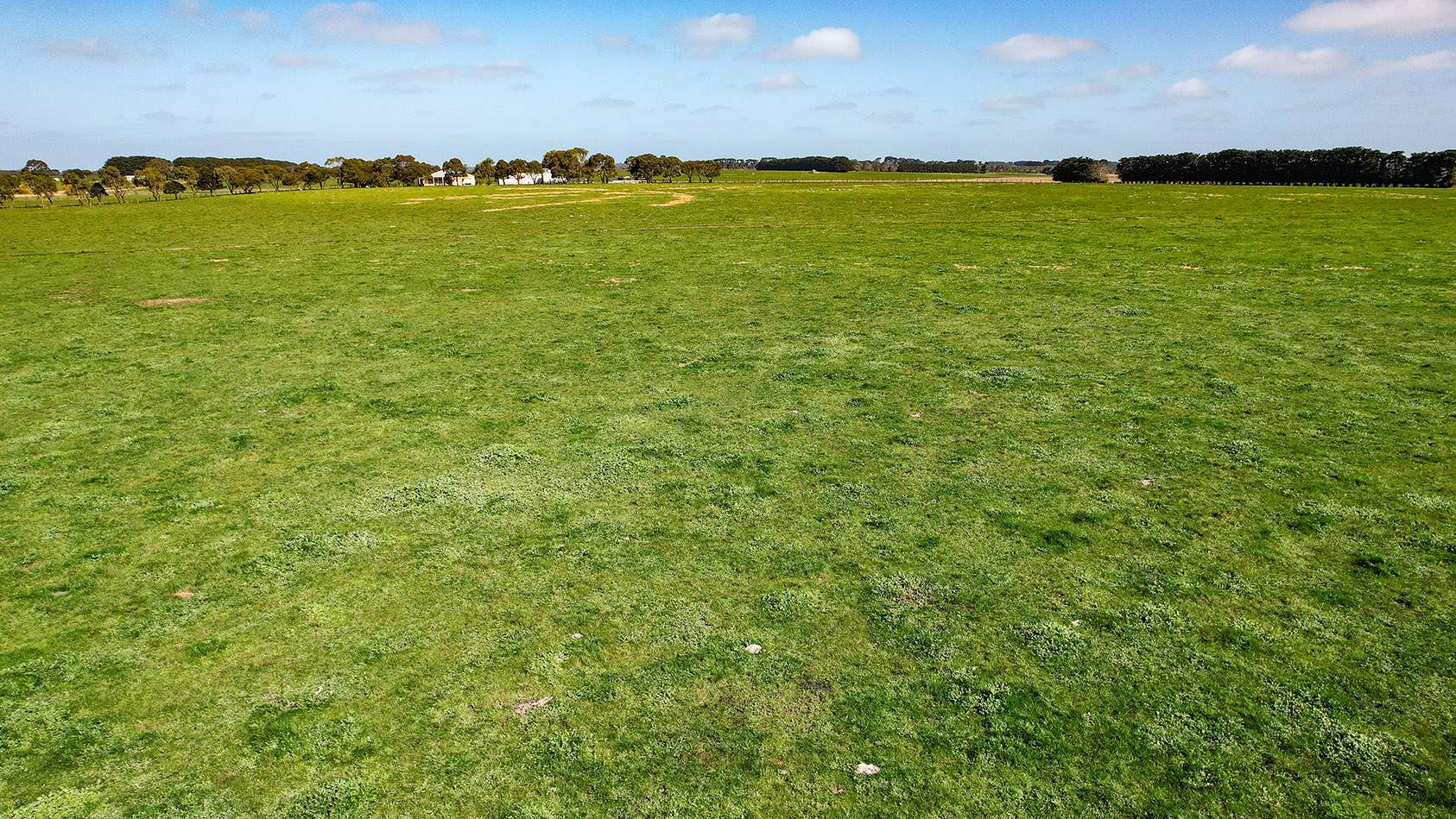 Lot 2,  Warrong Siding Road & Custs Road, Warrong For Sale by Farmbuy.com - image 33