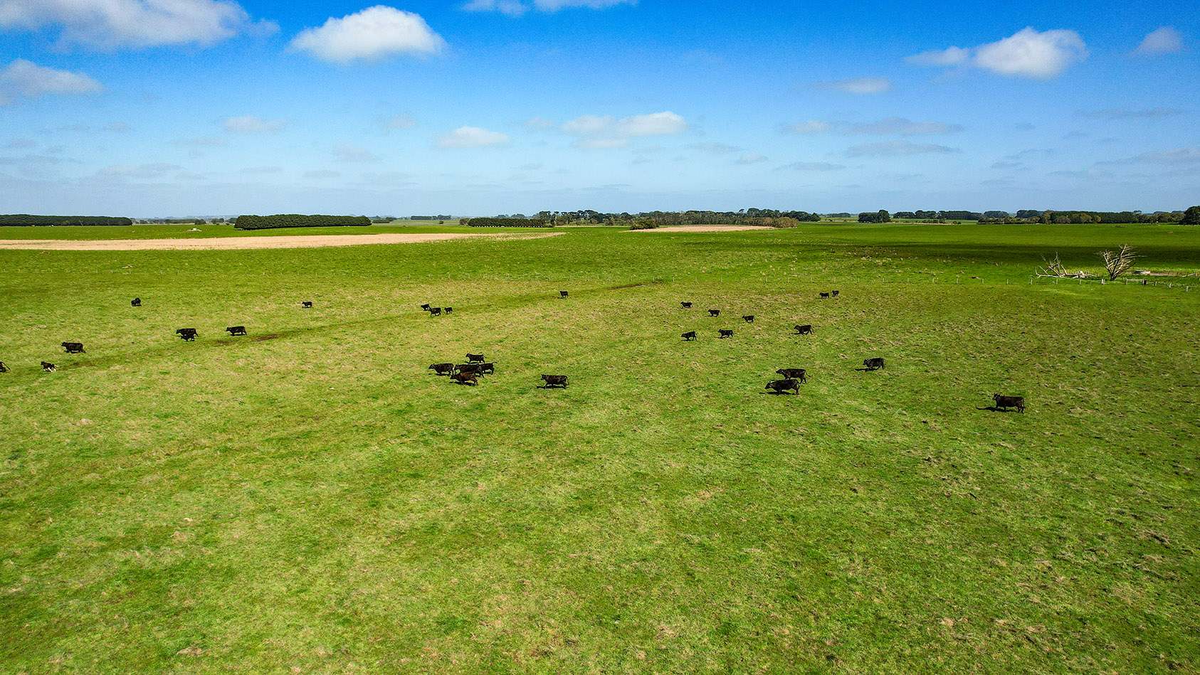 Lot 2,  Warrong Siding Road & Custs Road, Warrong For Sale by Farmbuy.com - image 16