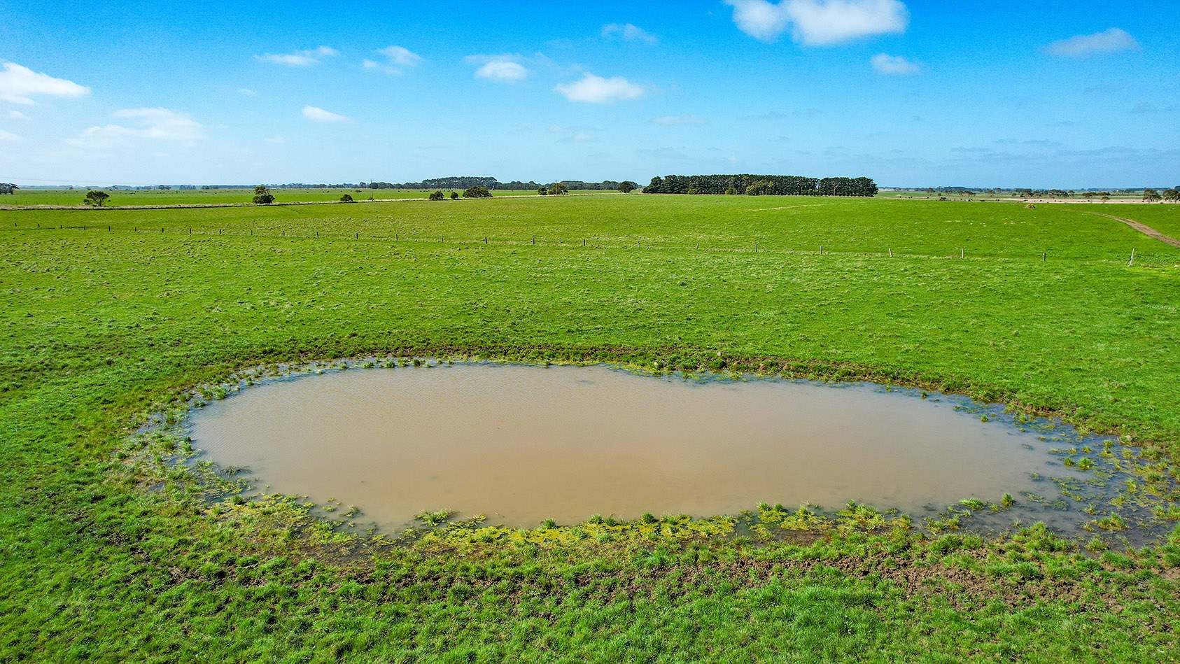 Lot 2,  Warrong Siding Road & Custs Road, Warrong For Sale by Farmbuy.com - image 20