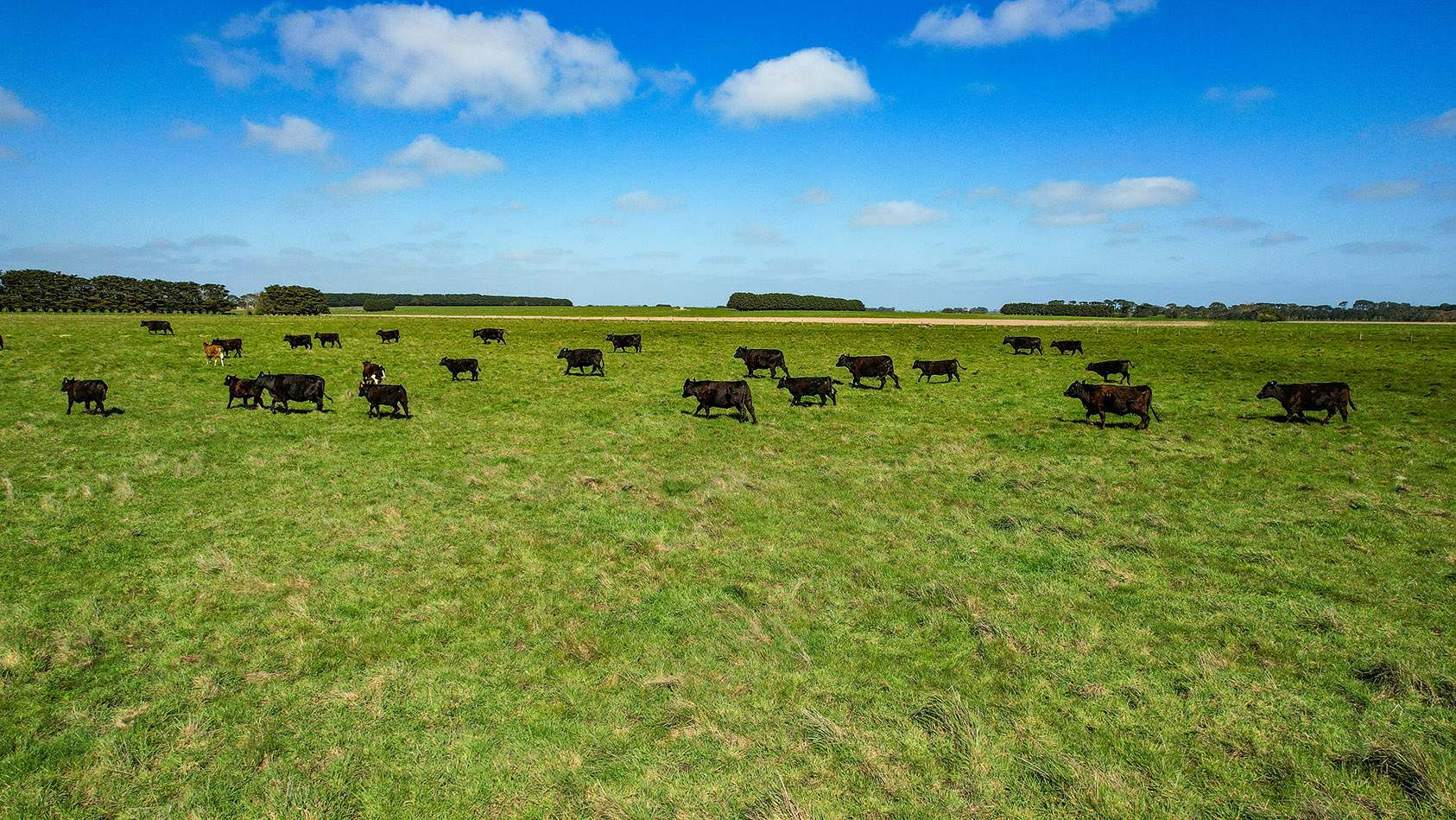 Lot 2,  Warrong Siding Road & Custs Road, Warrong For Sale by Farmbuy.com - image 18