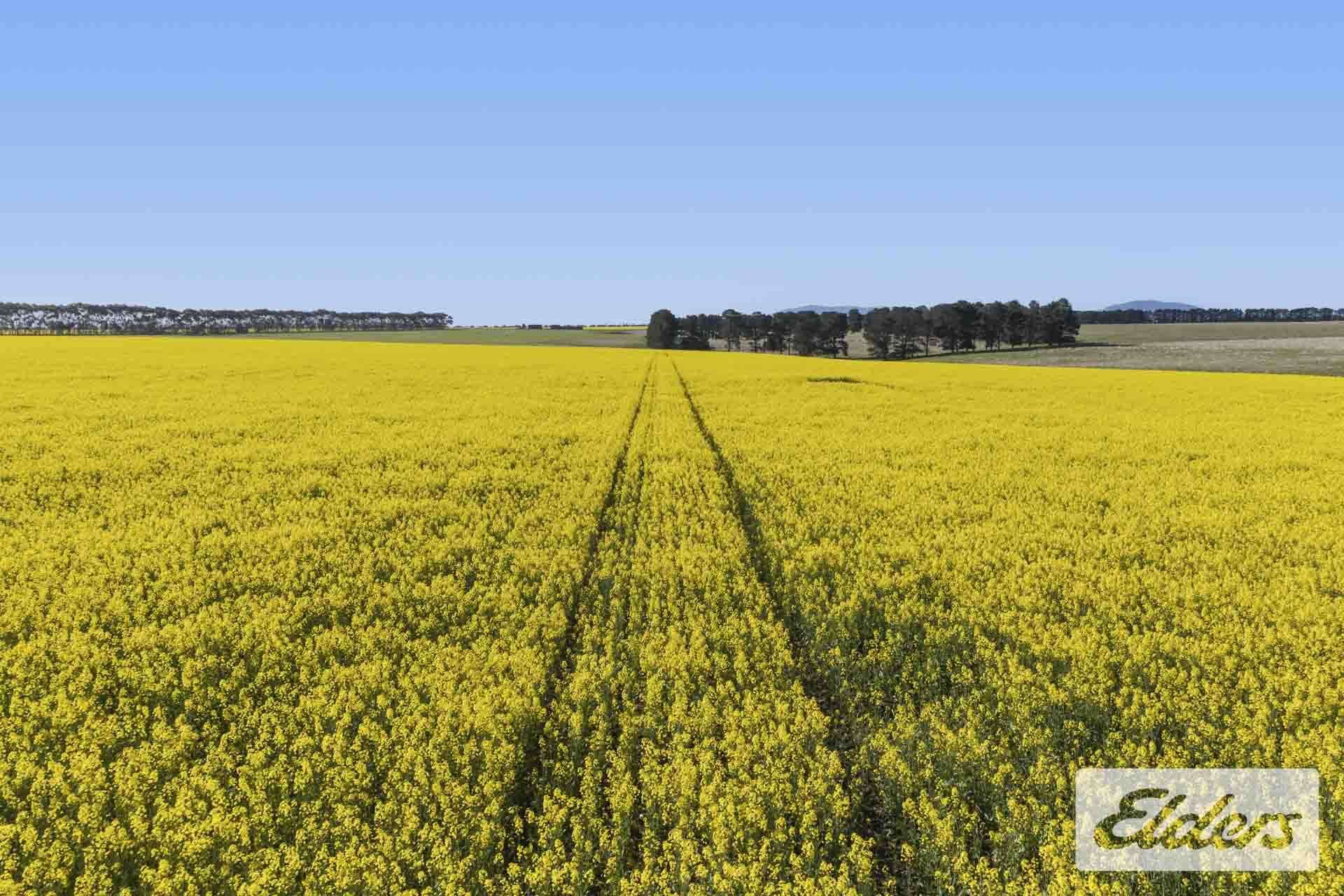 St Marnocks Road, Ballyrogan For Sale by Farmbuy.com - image 8