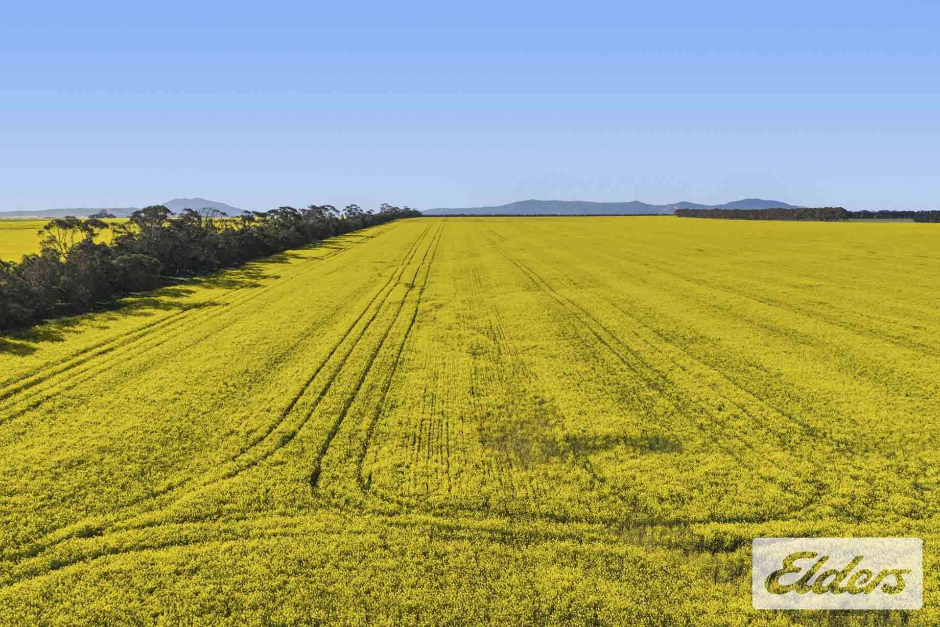 St Marnocks Road, Ballyrogan For Sale by Farmbuy.com - image 6