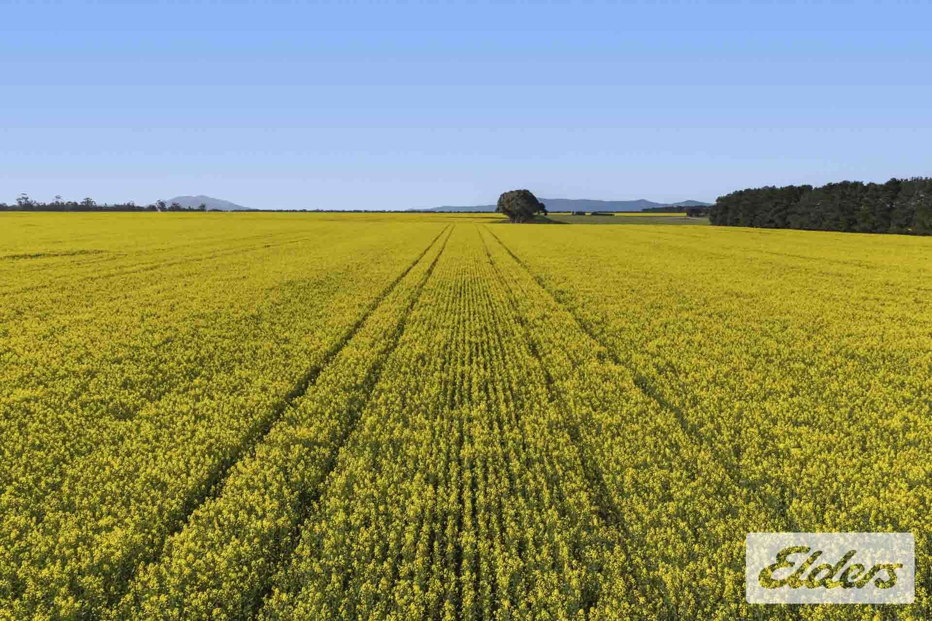 St Marnocks Road, Ballyrogan For Sale by Farmbuy.com - image 9