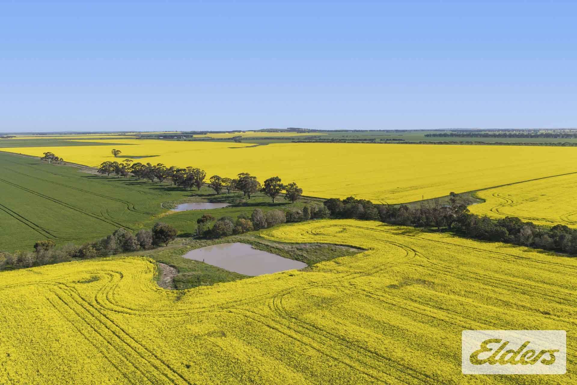 St Marnocks Road, Ballyrogan For Sale by Farmbuy.com - image 13