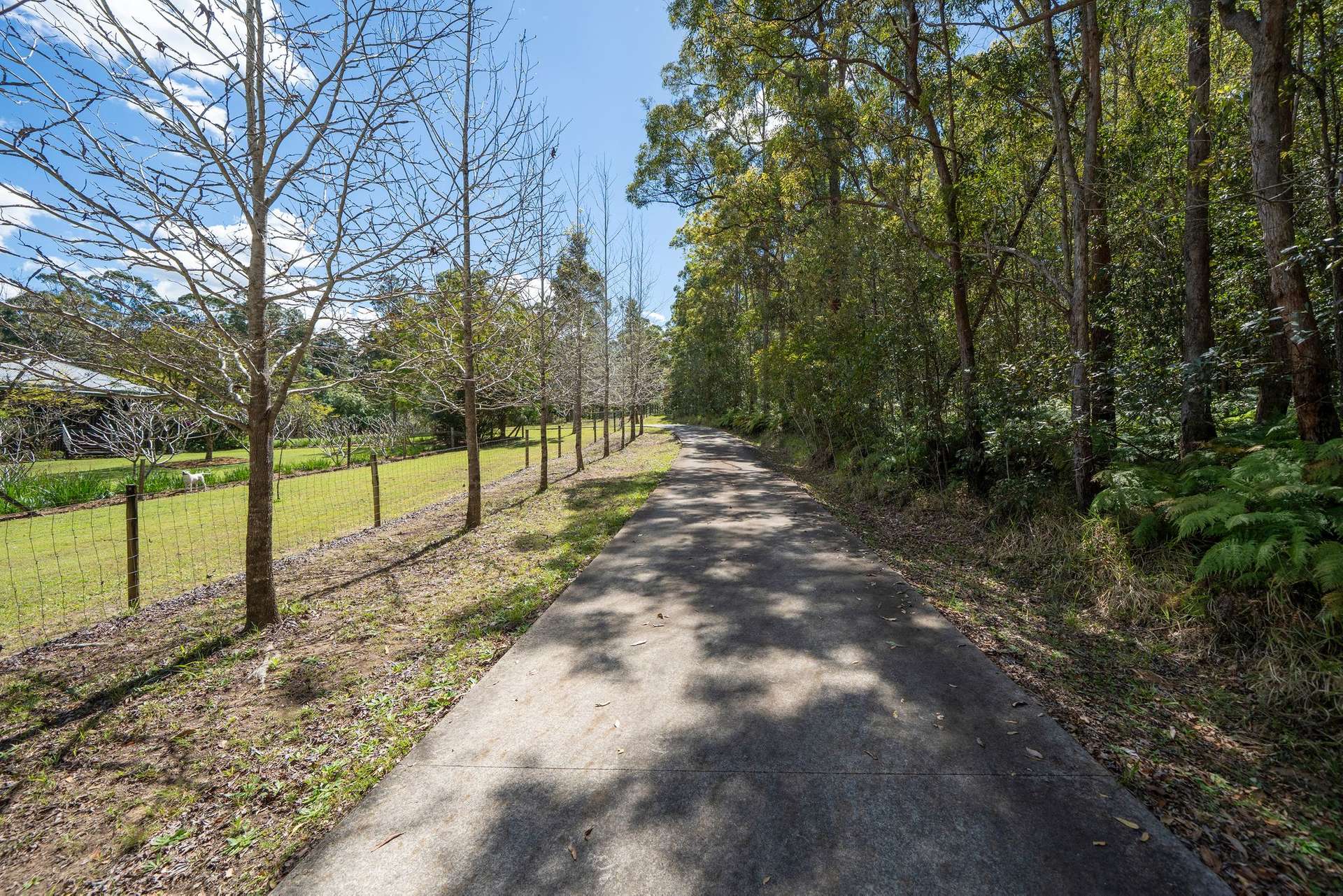 191 Bald Knob Road, Crohamhurst For Sale by Farmbuy.com - image 17