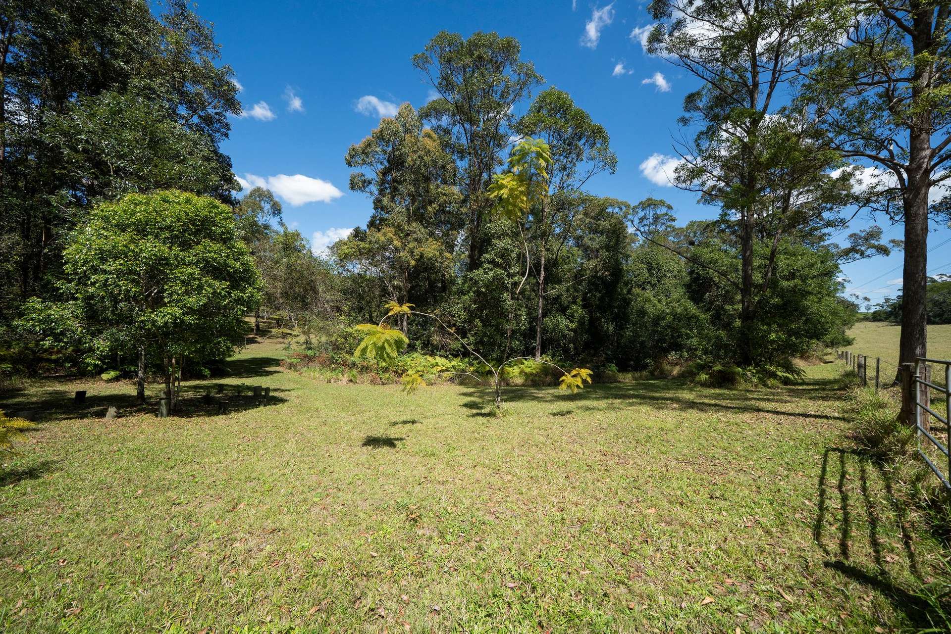 191 Bald Knob Road, Crohamhurst For Sale by Farmbuy.com - image 24