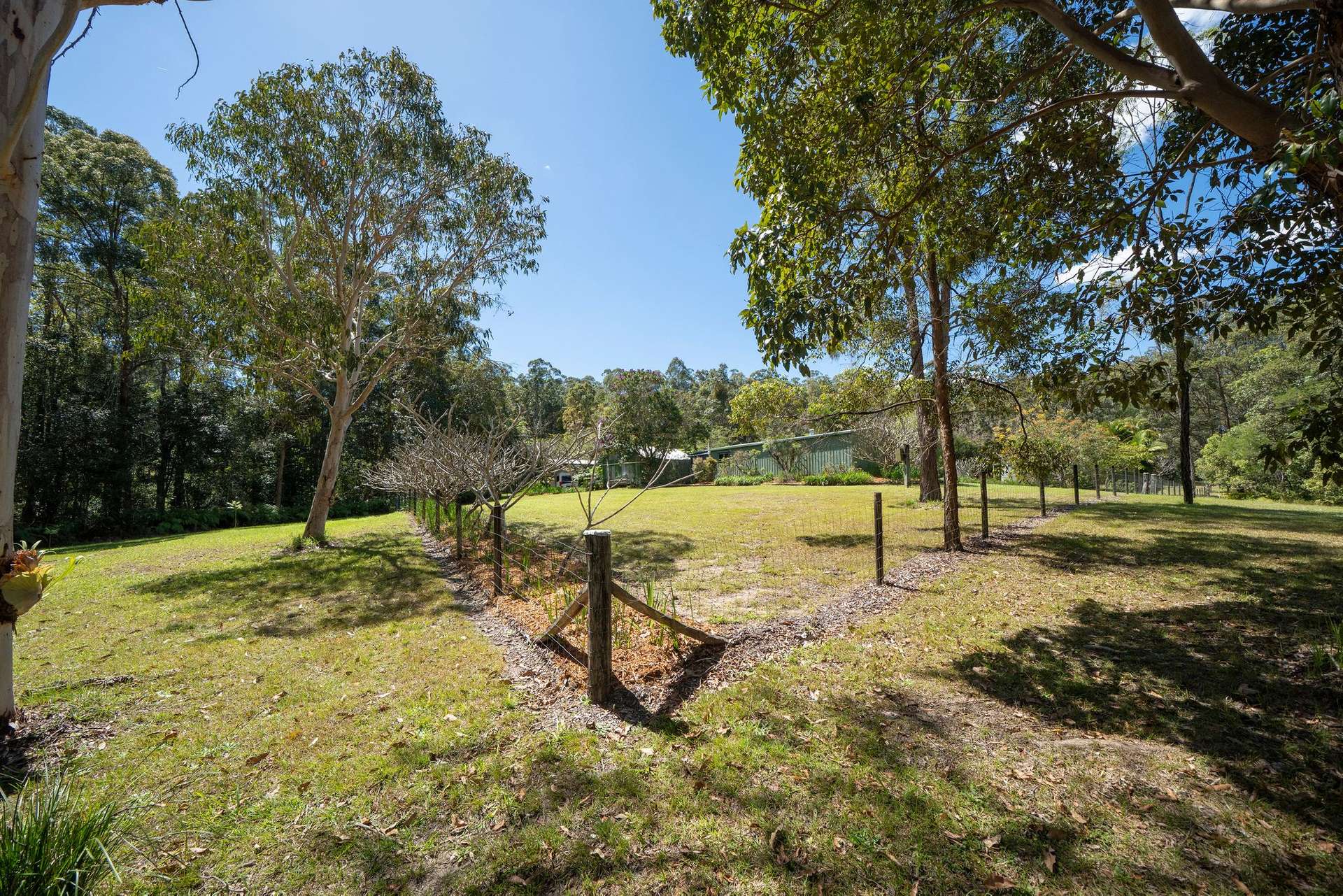 191 Bald Knob Road, Crohamhurst For Sale by Farmbuy.com - image 15