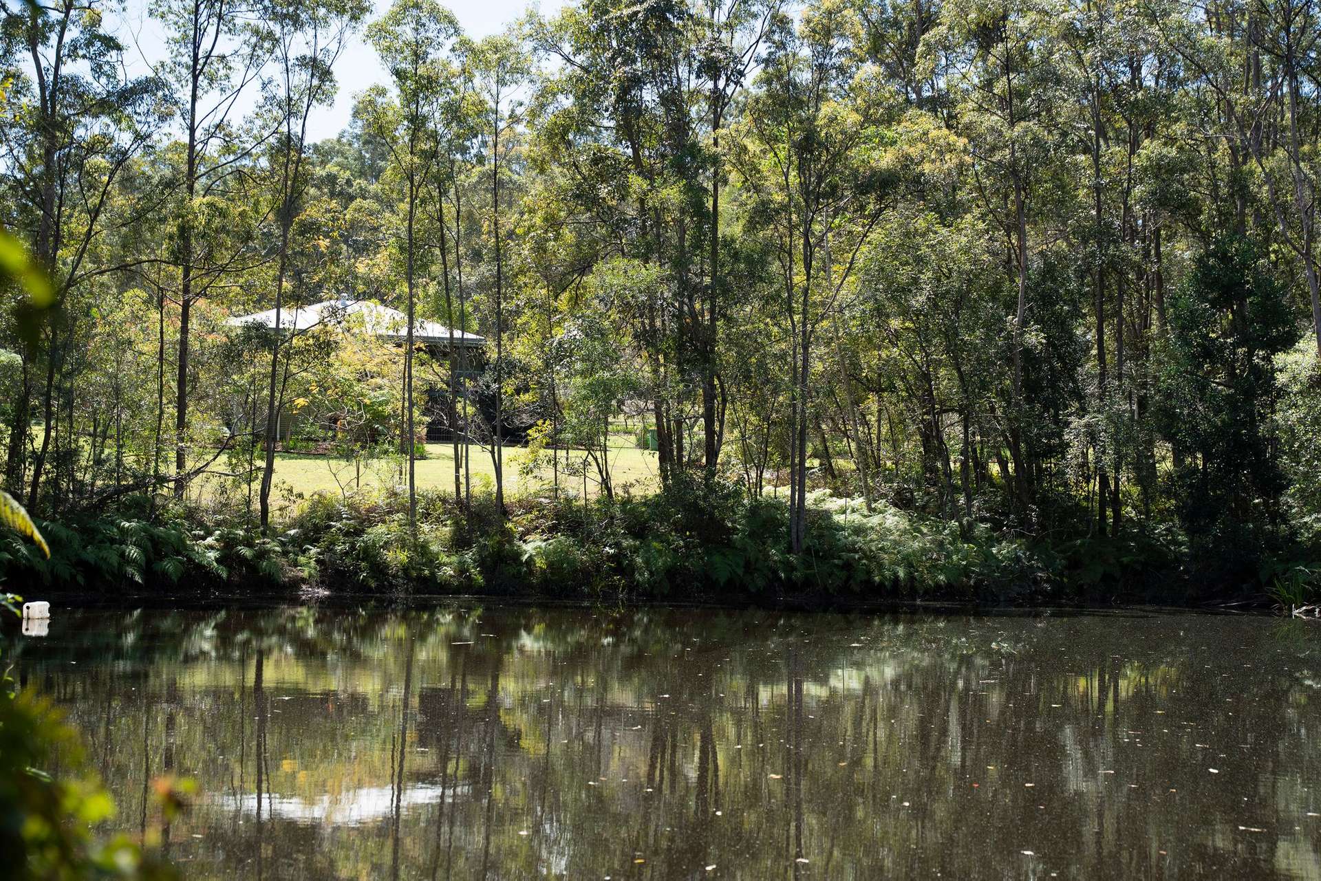 191 Bald Knob Road, Crohamhurst For Sale by Farmbuy.com - image 13