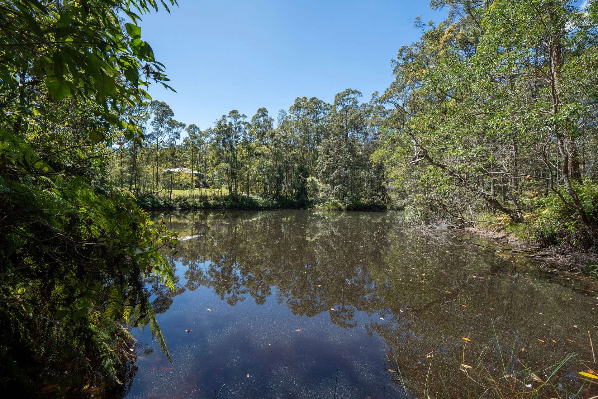 191 Bald Knob Road, Crohamhurst For Sale by Farmbuy.com - image 11