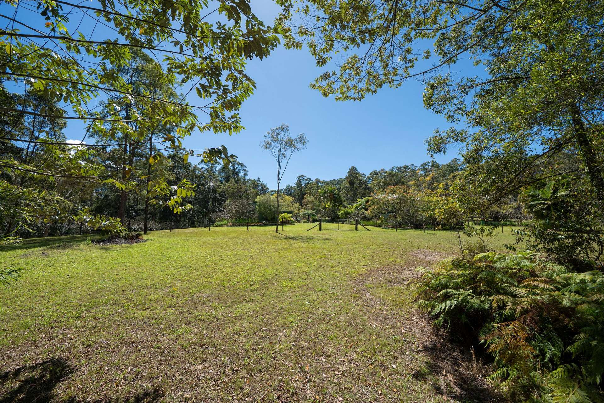 191 Bald Knob Road, Crohamhurst For Sale by Farmbuy.com - image 14