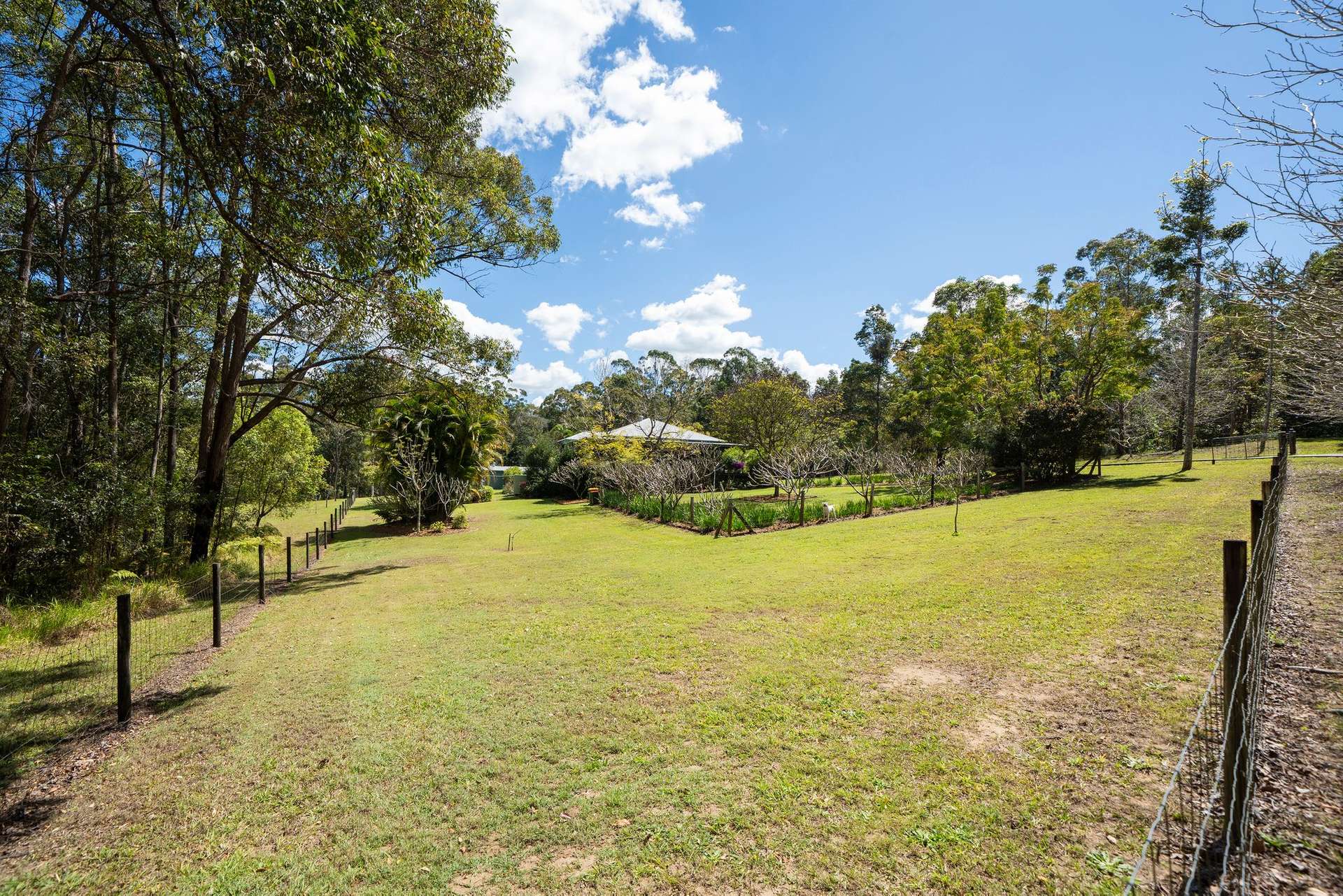 191 Bald Knob Road, Crohamhurst For Sale by Farmbuy.com - image 16