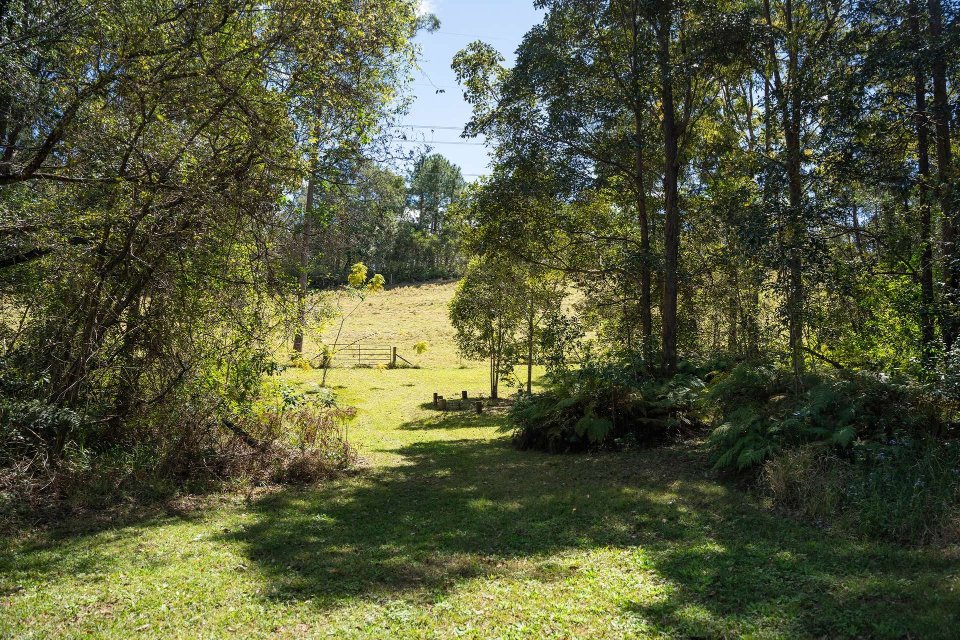 191 Bald Knob Road, Crohamhurst For Sale by Farmbuy.com - image 22