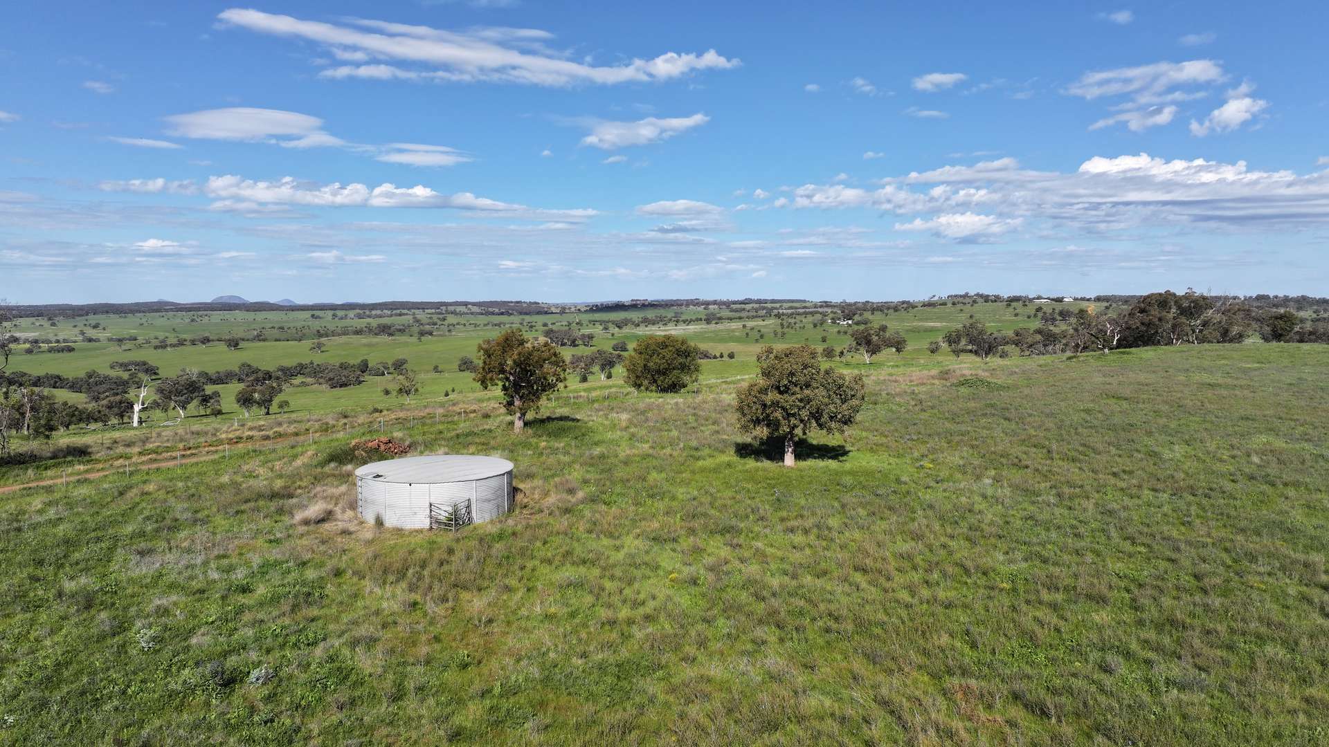 16387 Oxley Highway, Coonabarabran Auction by Farmbuy.com - image 30