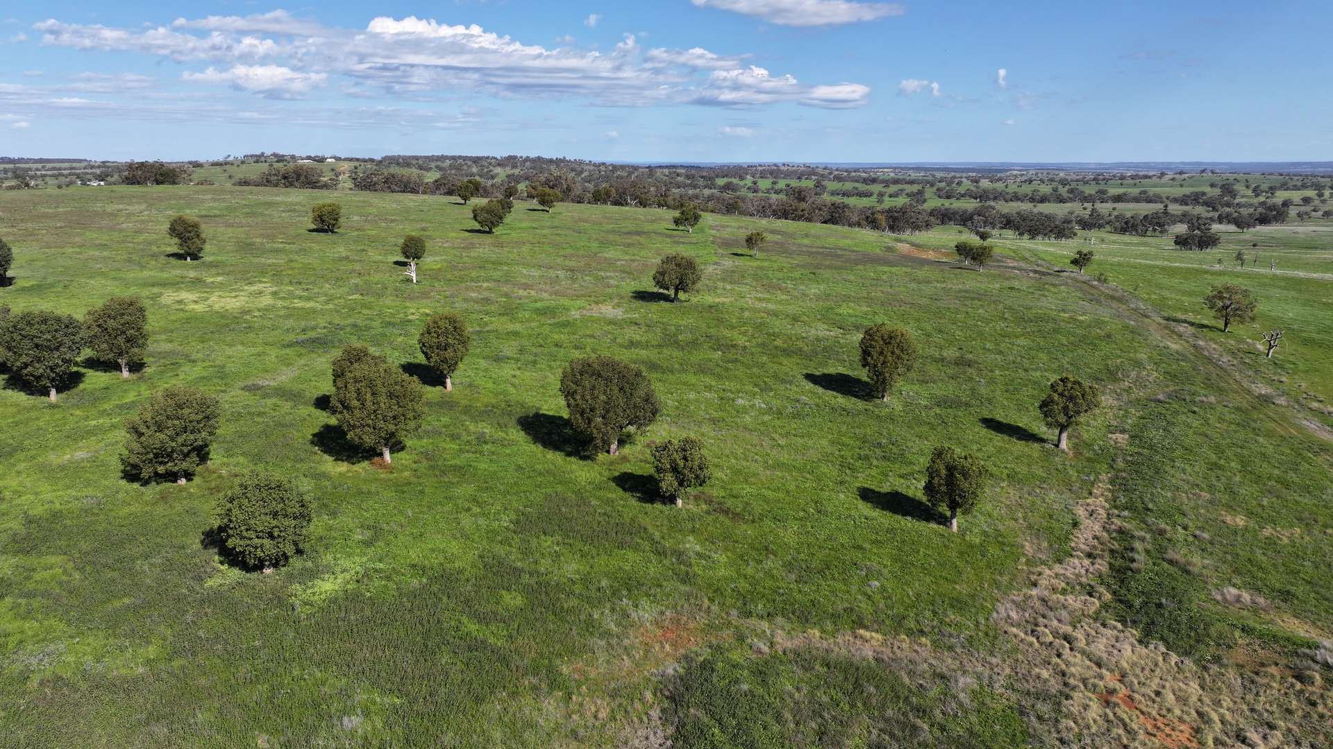 16387 Oxley Highway, Coonabarabran Auction by Farmbuy.com - image 28