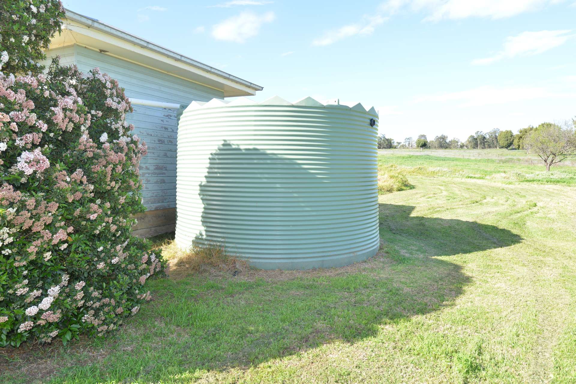 16387 Oxley Highway, Coonabarabran Auction by Farmbuy.com - image 22