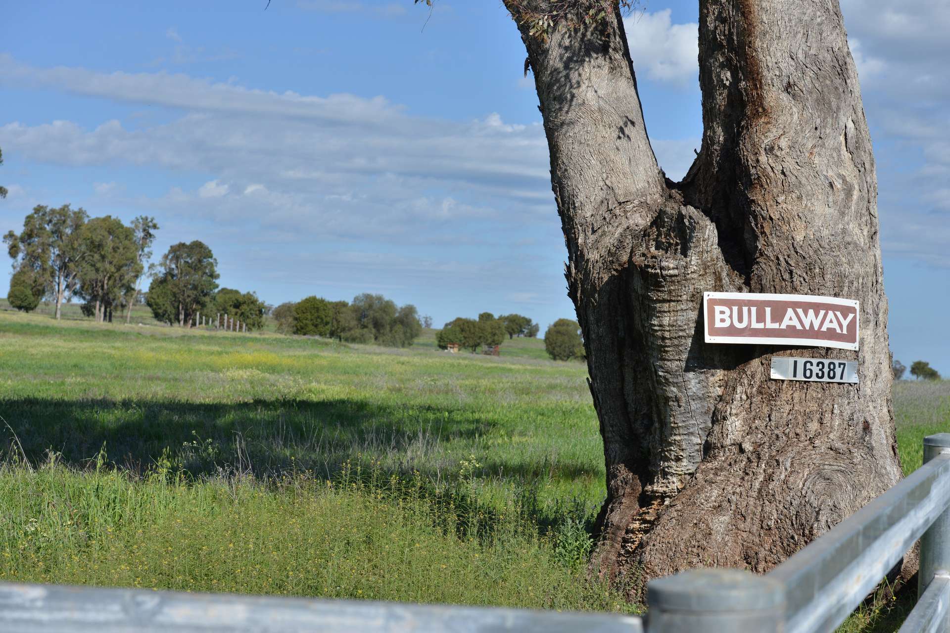 16387 Oxley Highway, Coonabarabran Auction by Farmbuy.com - image 33