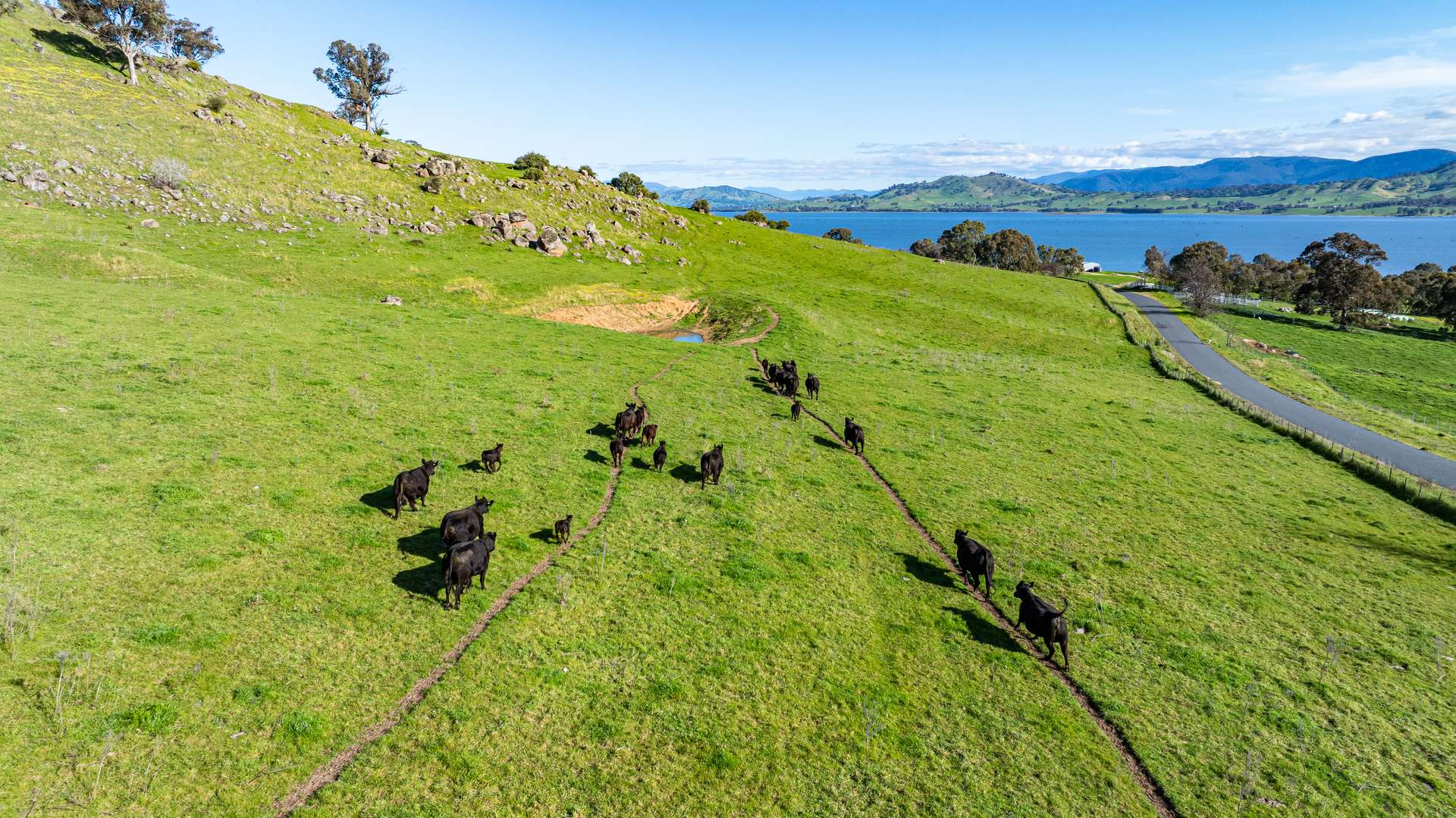 1080 Lake Road, Bethanga For Sale by Farmbuy.com - image 5