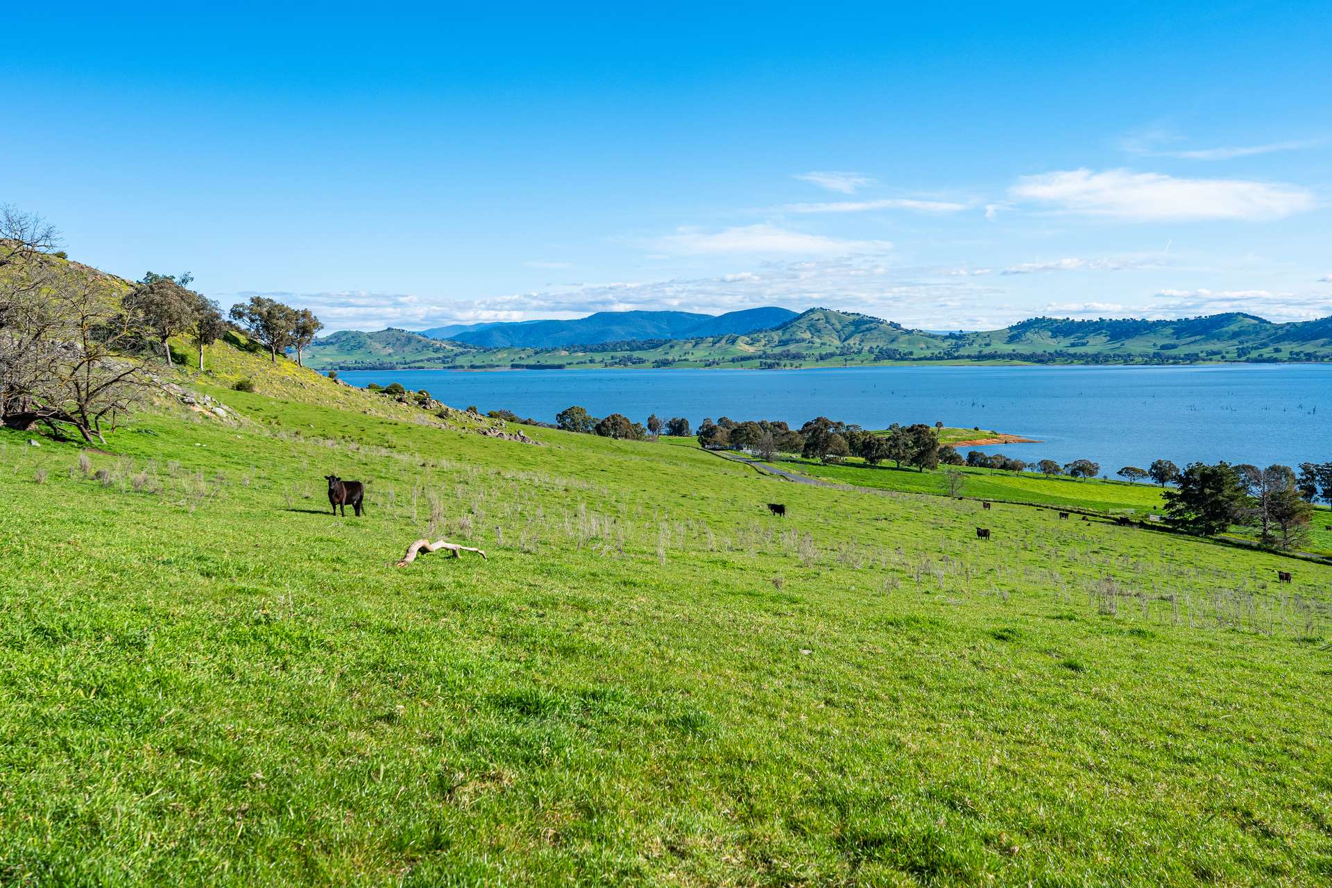1080 Lake Road, Bethanga For Sale by Farmbuy.com - image 9